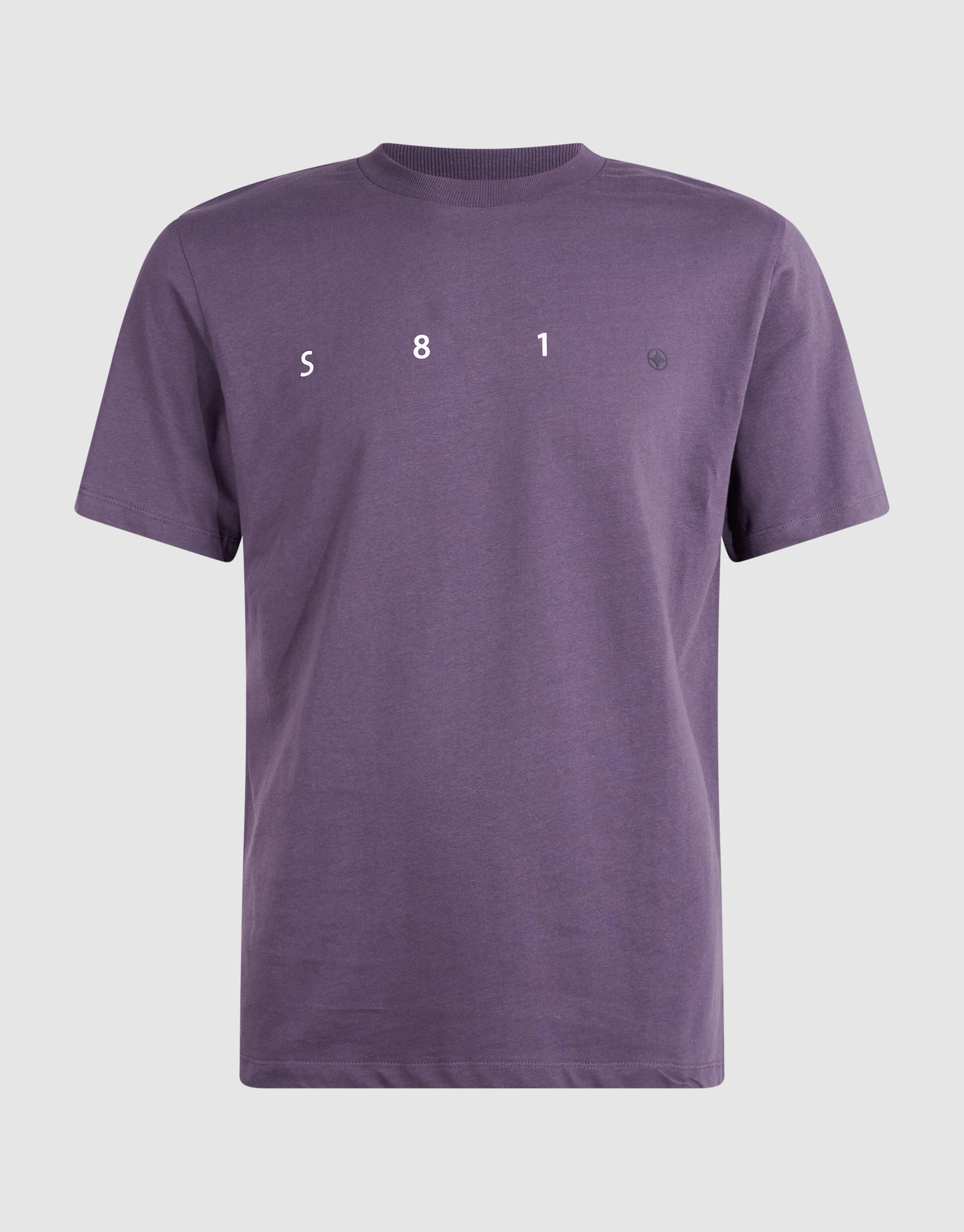 Minimal Artwork T-shirt Paars SHOEBY MEN