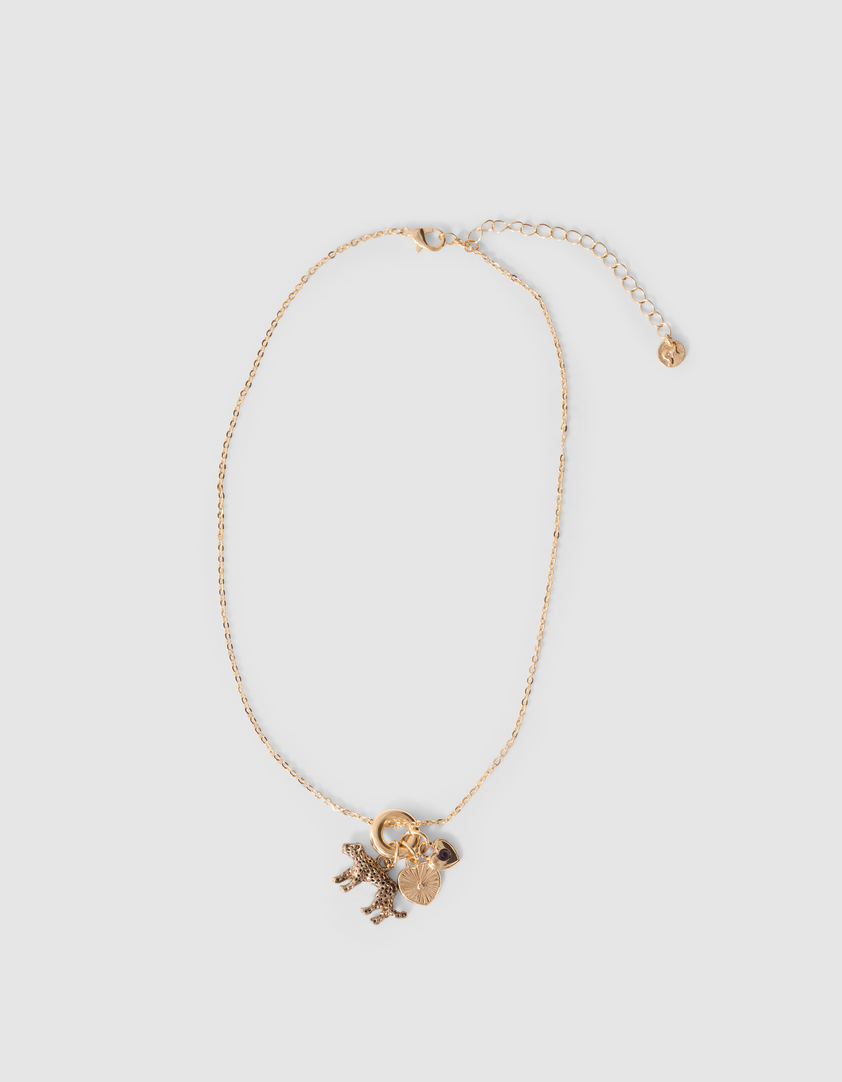 Leopard Ketting Goud SHOEBY ACCESSOIRES