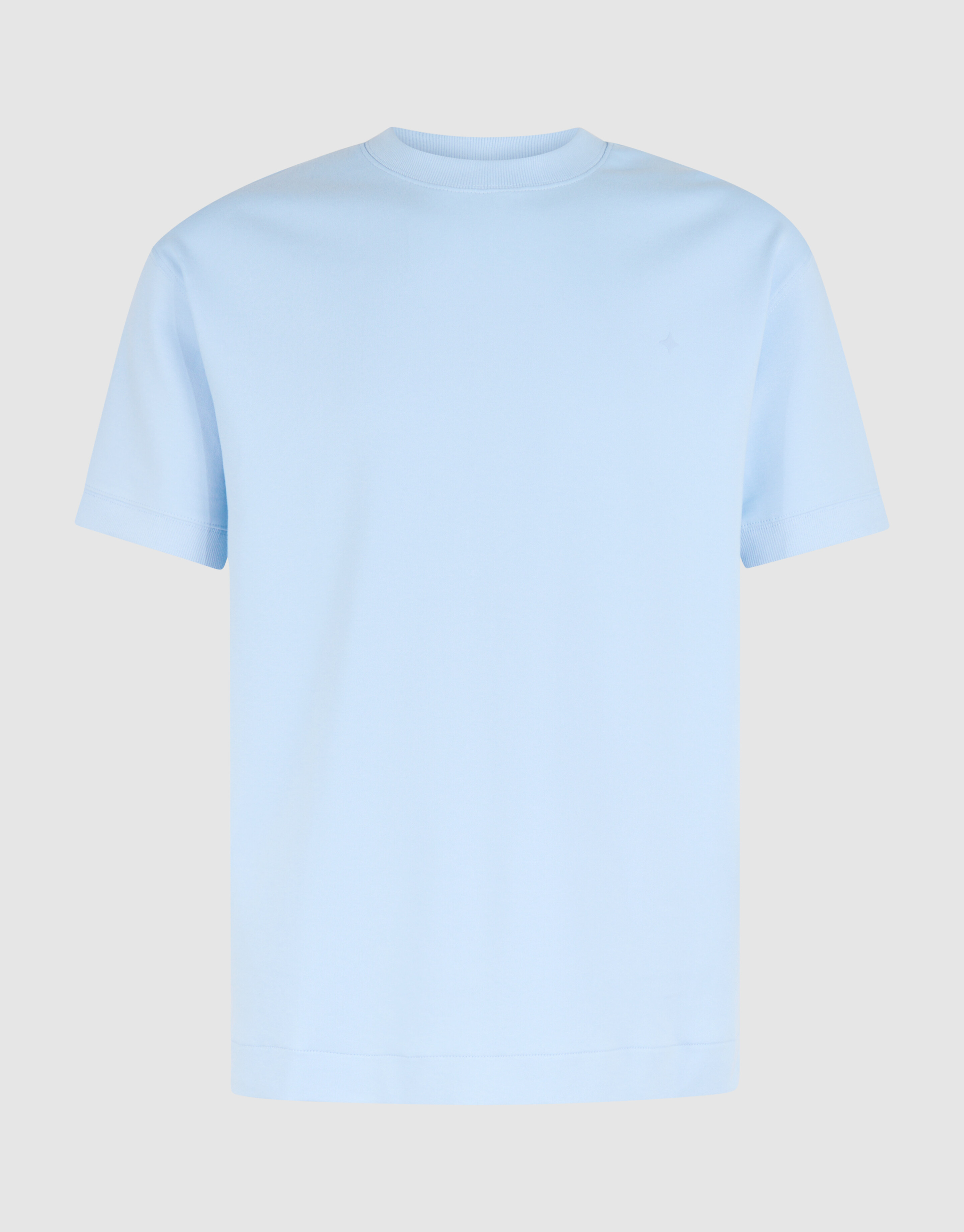 Artwork T-shirt Lichtblauw SHOEBY MEN