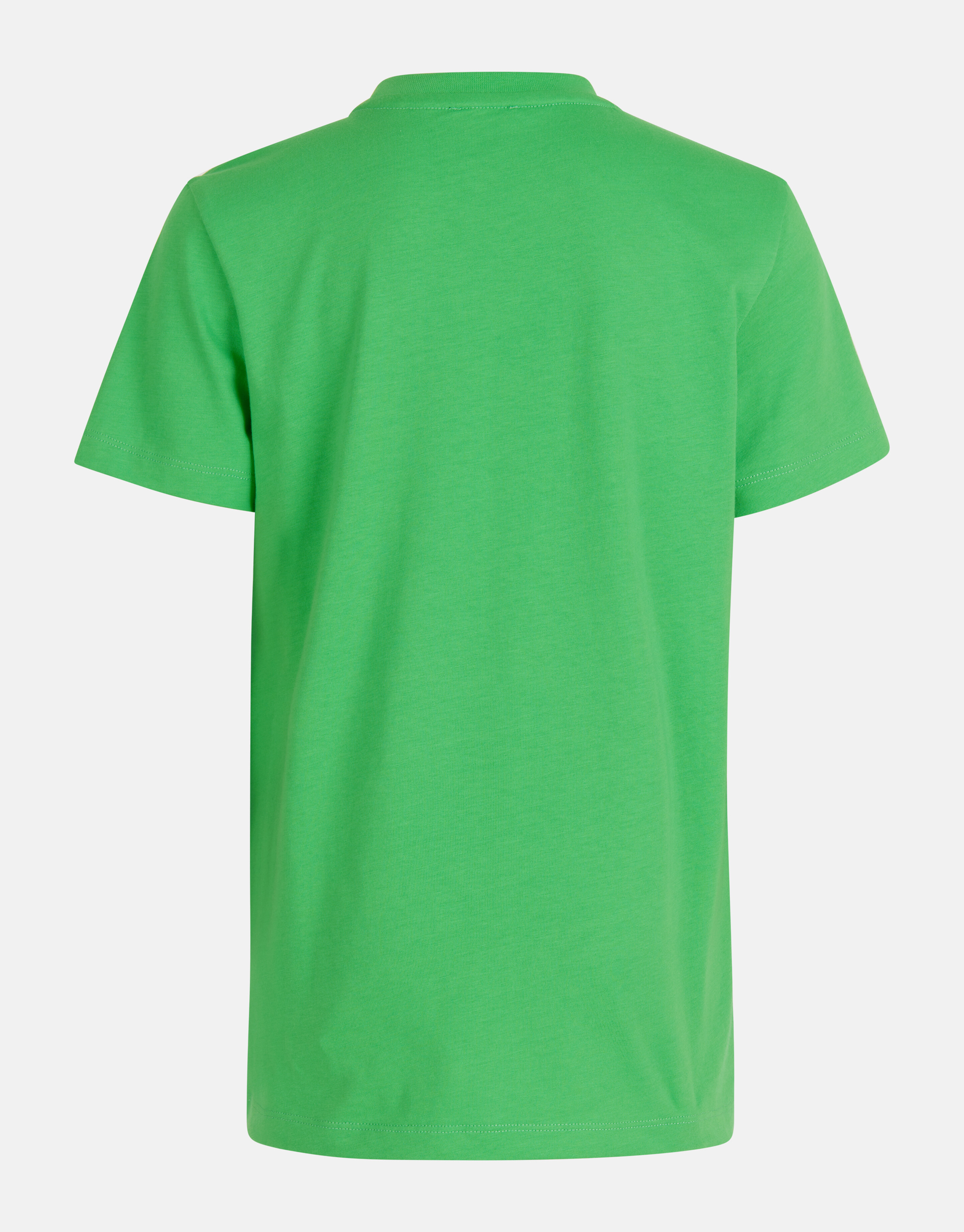 Artwork T-shirt Groen SHOEBY BOYS