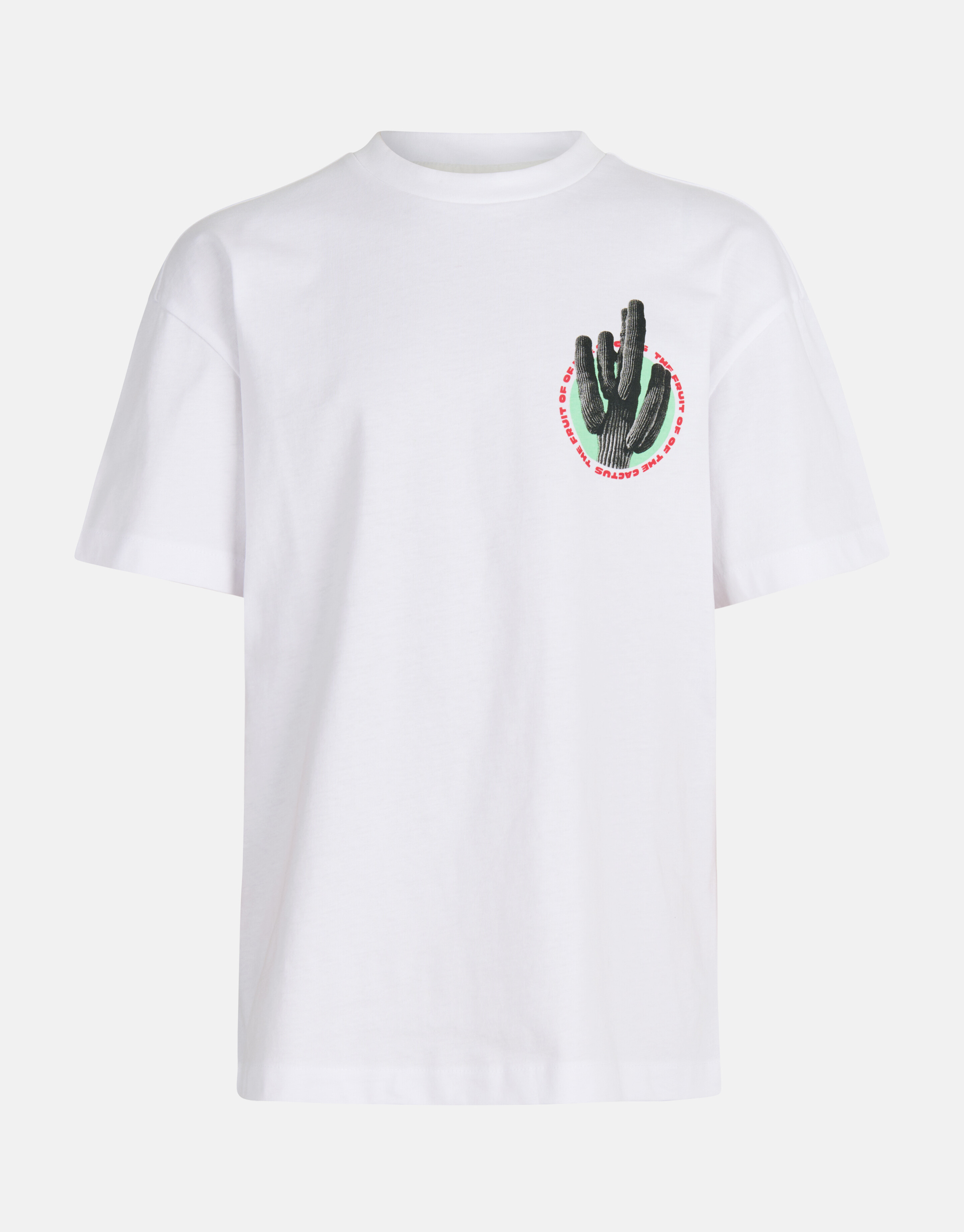 Artwork T-shirt Wit SHOEBY BOYS