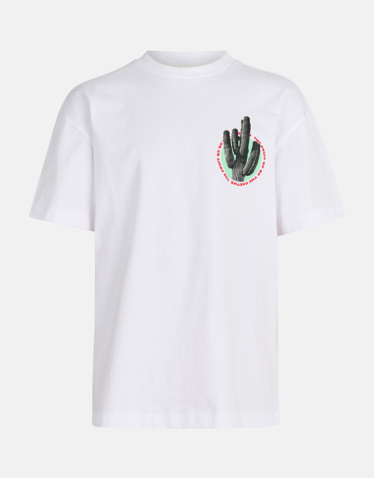Artwork T-shirt Wit SHOEBY BOYS