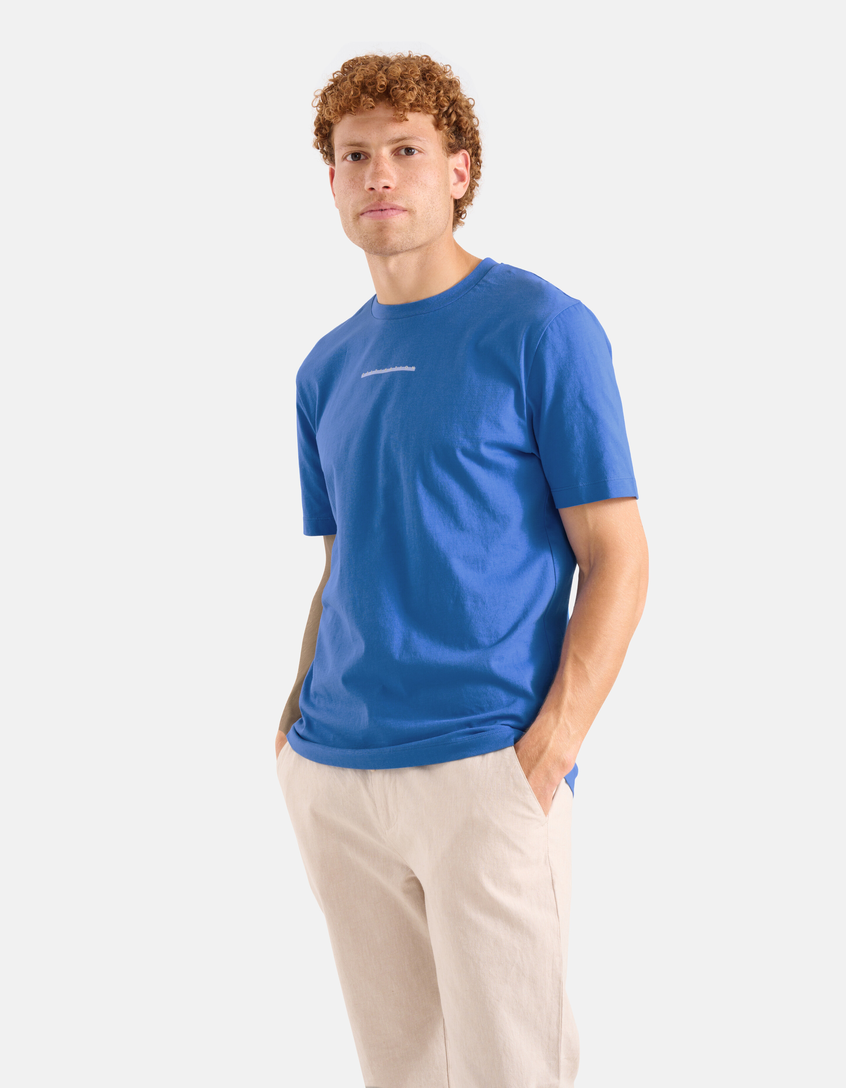 Artwork T-shirt Blauw SHOEBY MEN