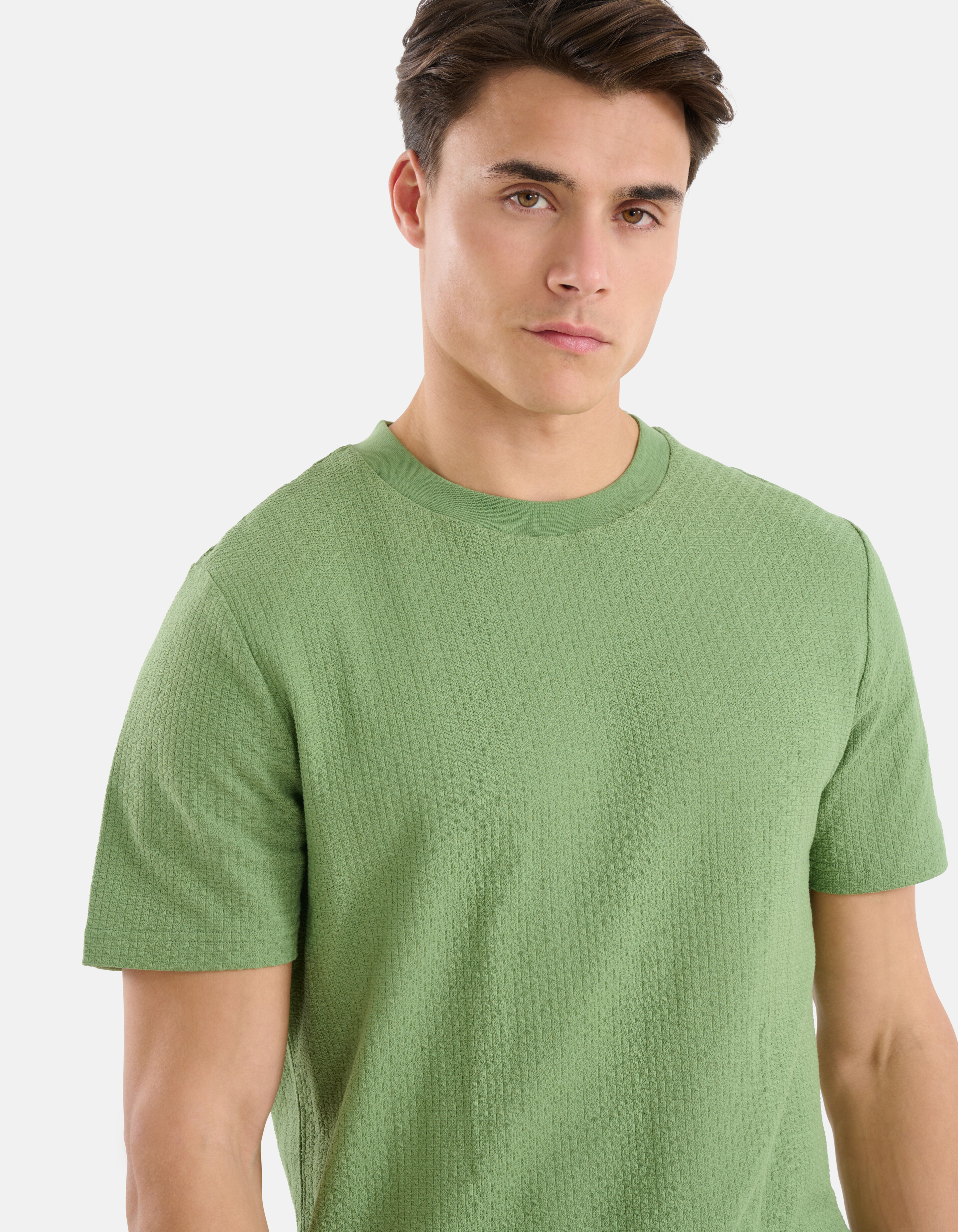 Jacquard T-shirt Groen SHOEBY MEN