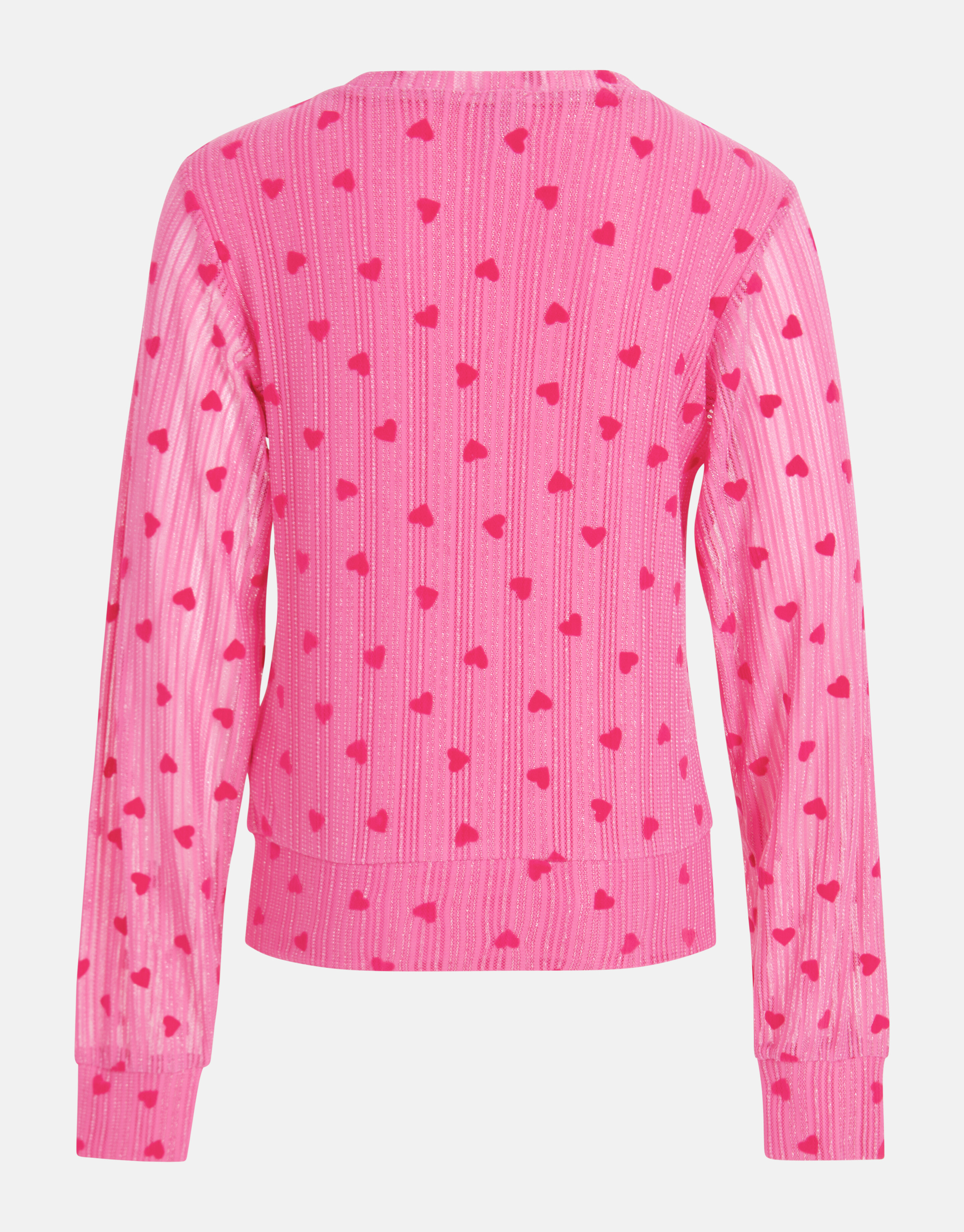 Mesh Top Roze SHOEBY GIRLS