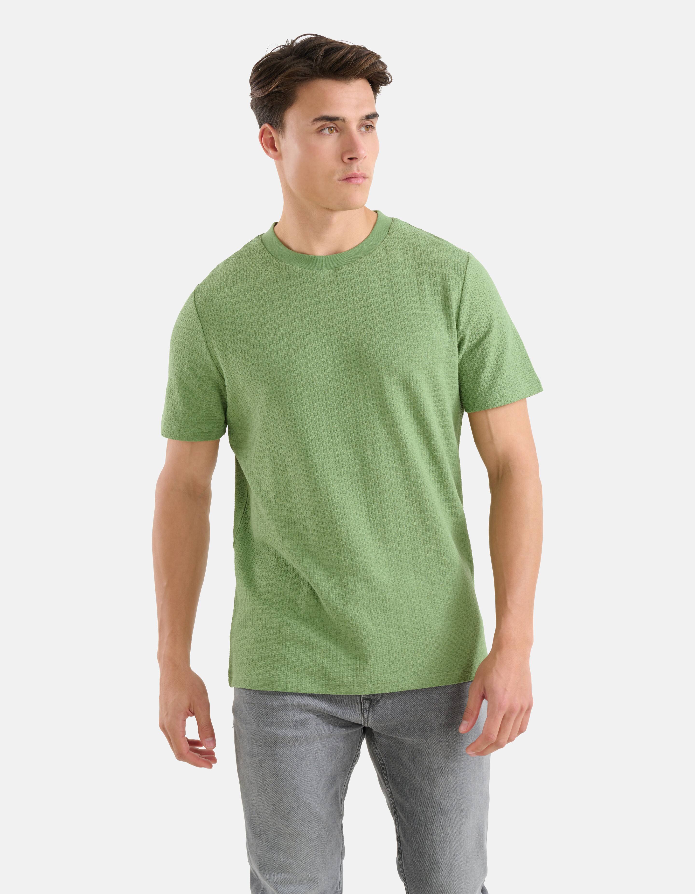 Jacquard T-shirt Groen SHOEBY MEN