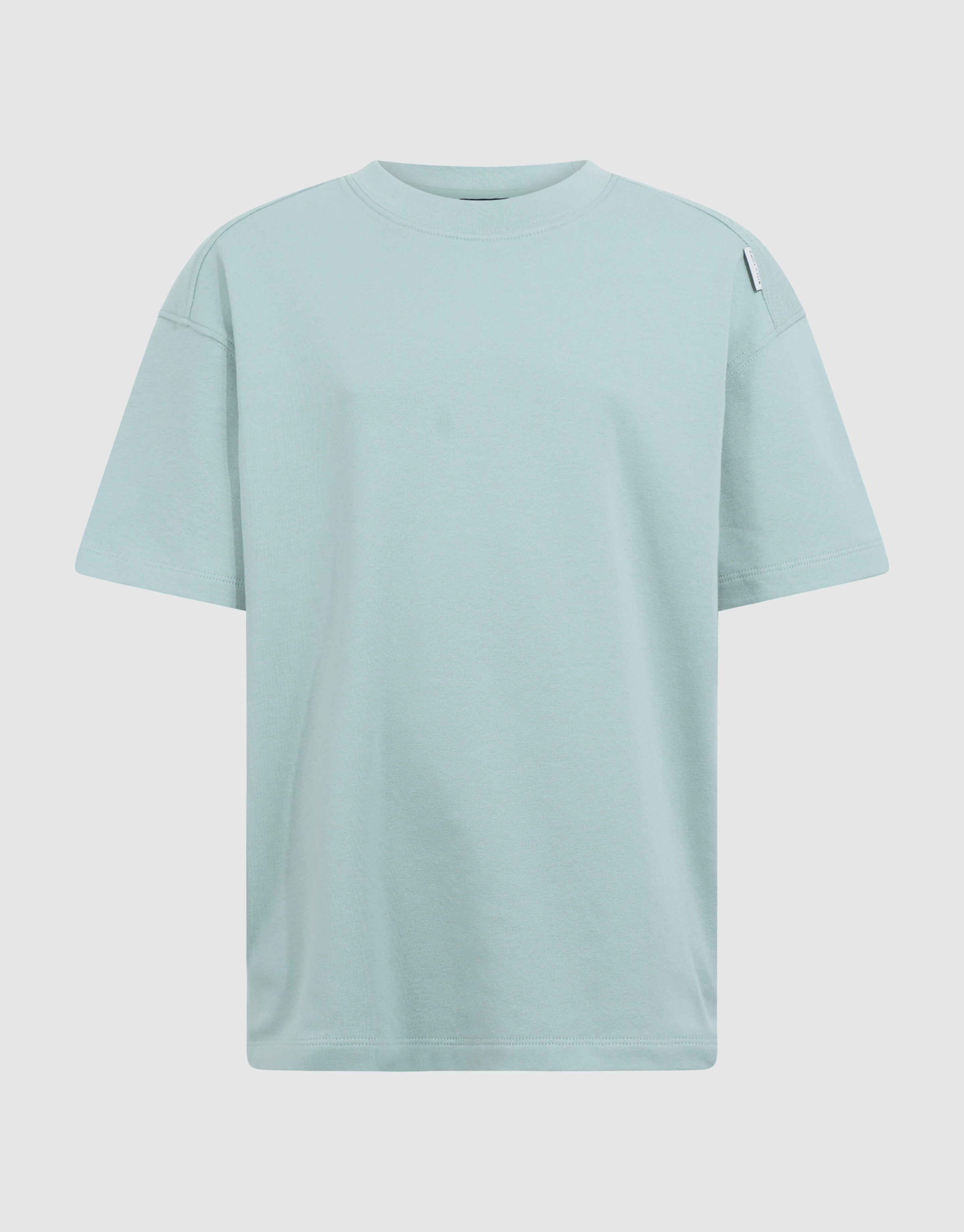 Basis Label T-Shirt Lichtgroen SHOEBY BOYS