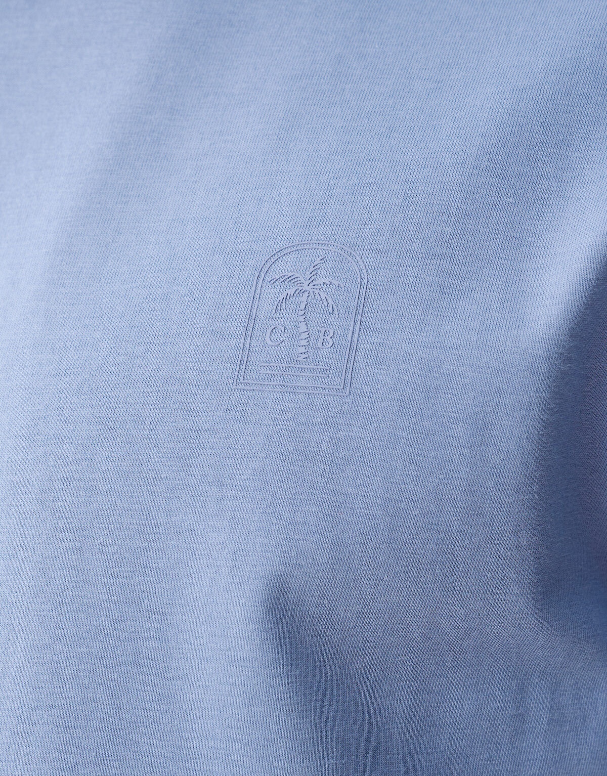 Palm Artwork T-shirt Lichtblauw SHOEBY MEN