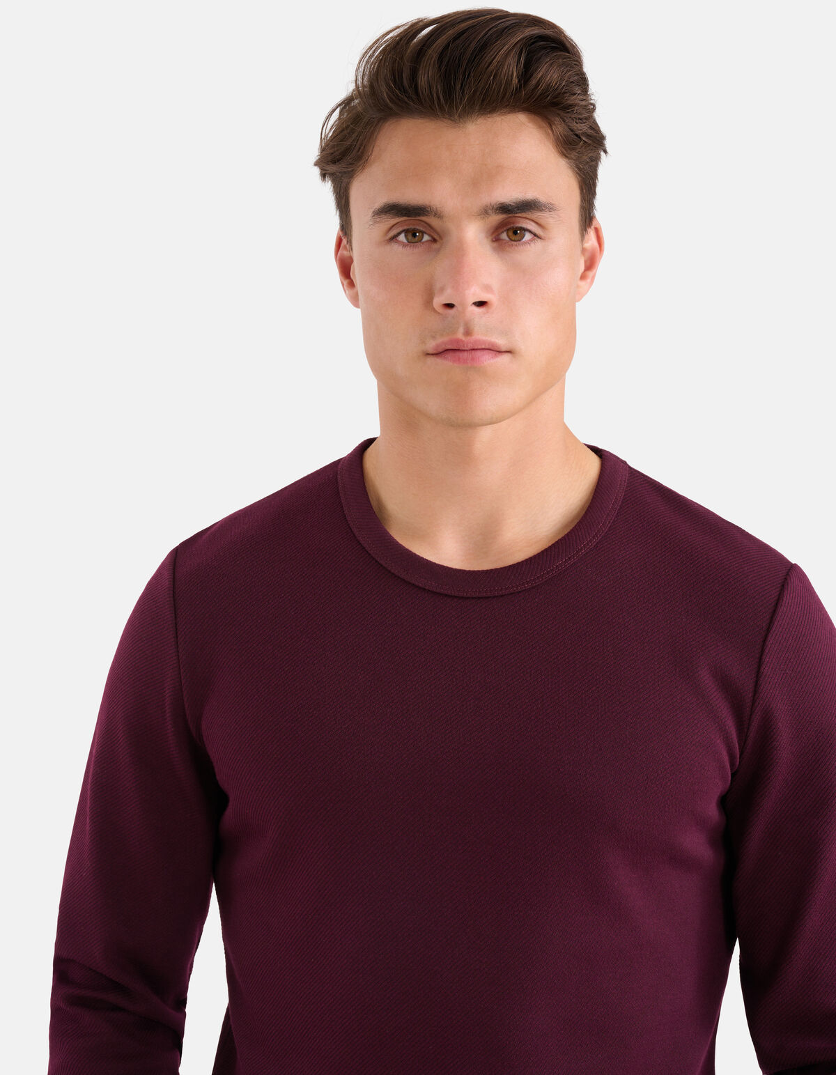 Structuur T-shirt Bordeaux SHOEBY MEN