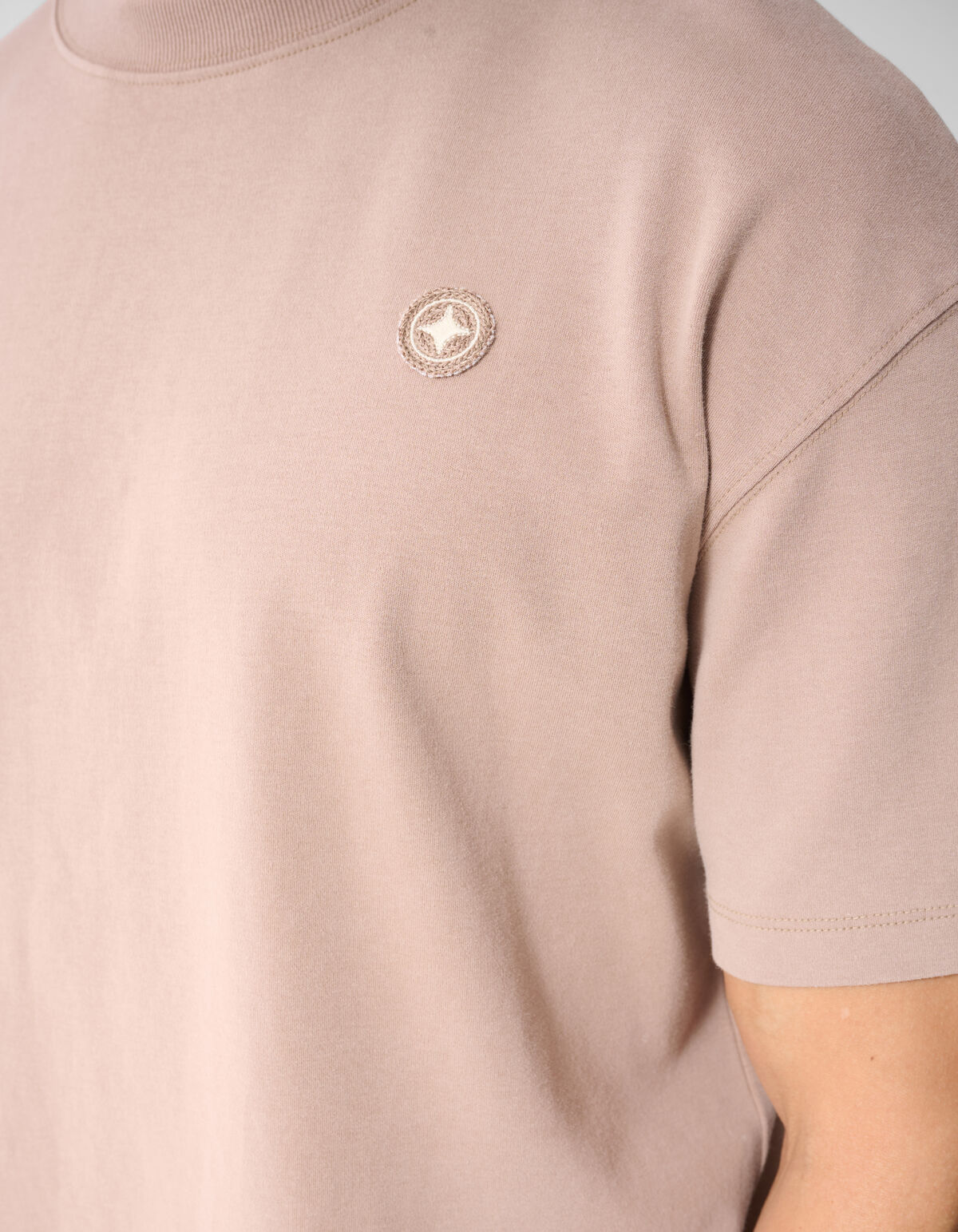 Washed Spark T-shirt Taupe SHOEBY MEN