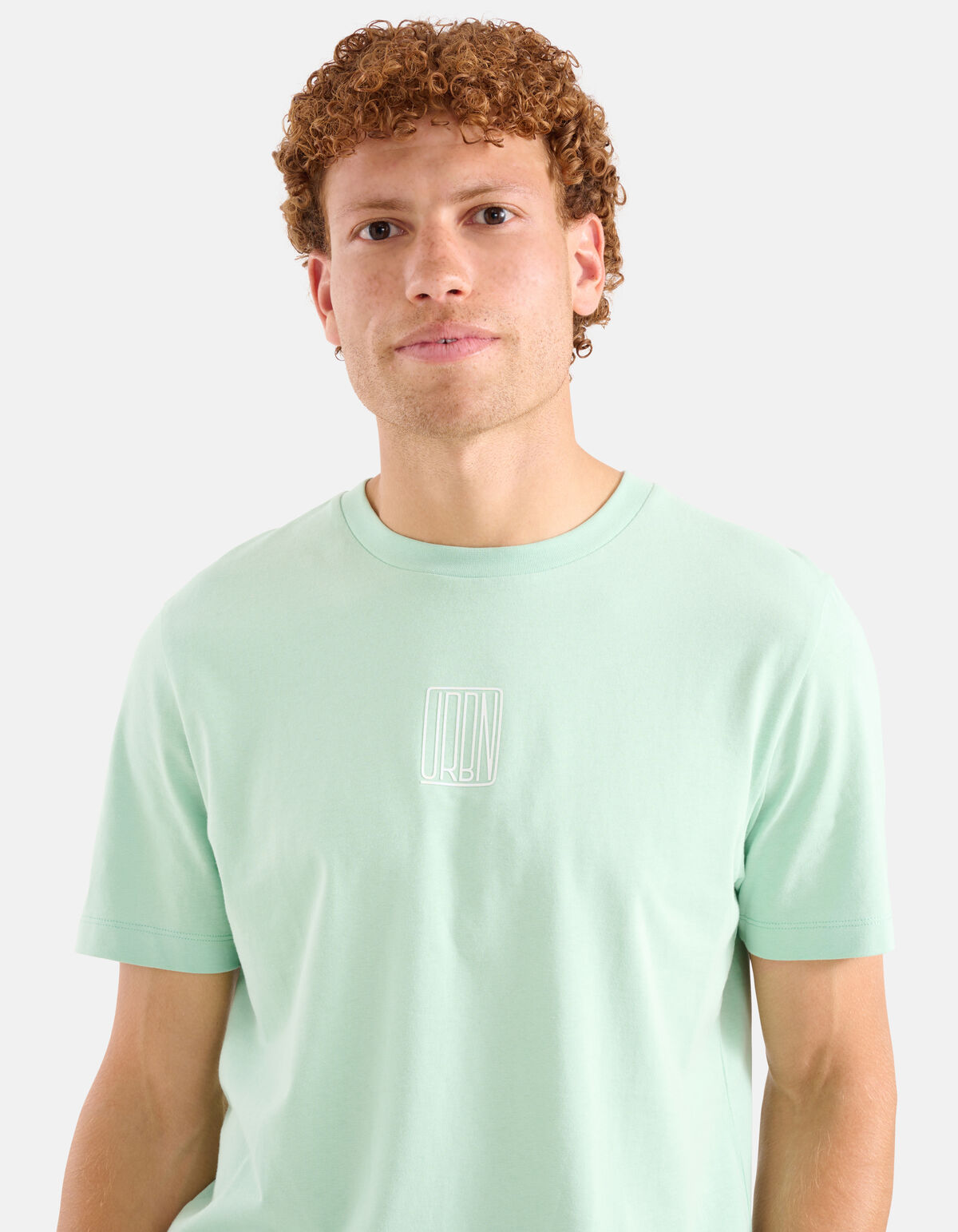 Artwork T-shirt Lichtgroen SHOEBY MEN