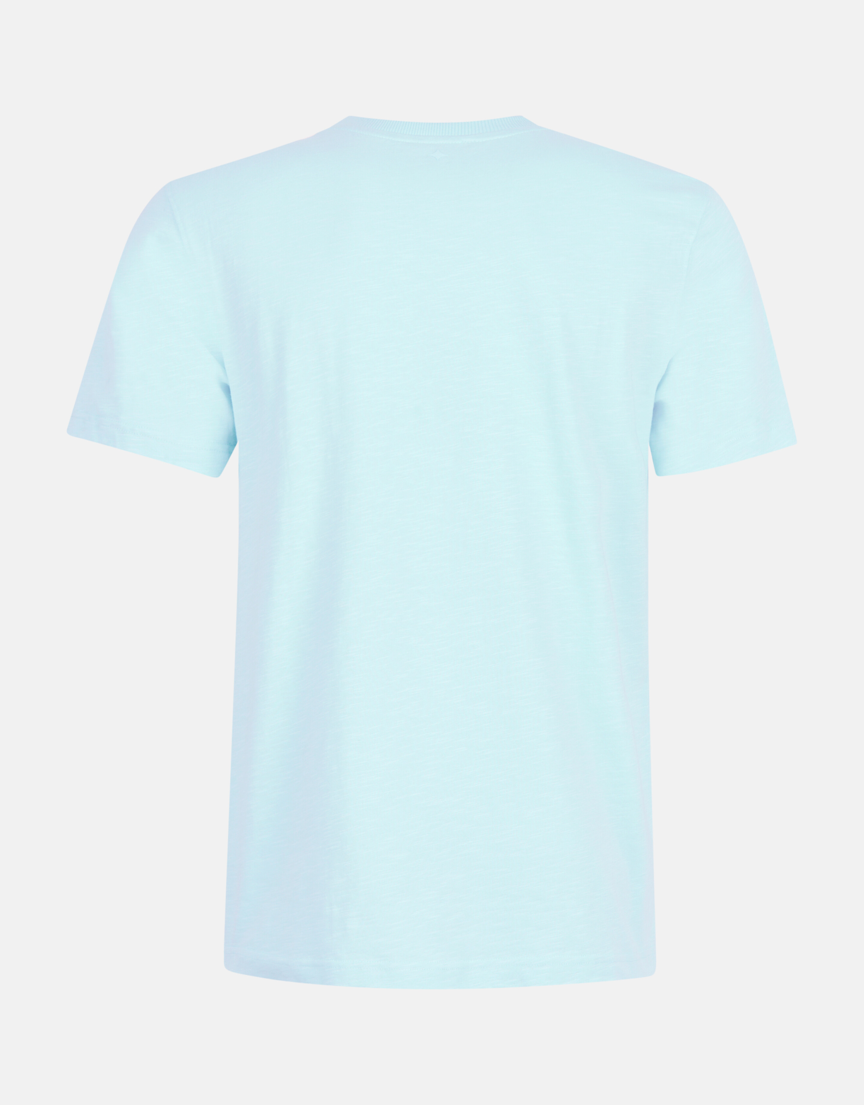 Embroidery T-shirt Lichtblauw SHOEBY MEN
