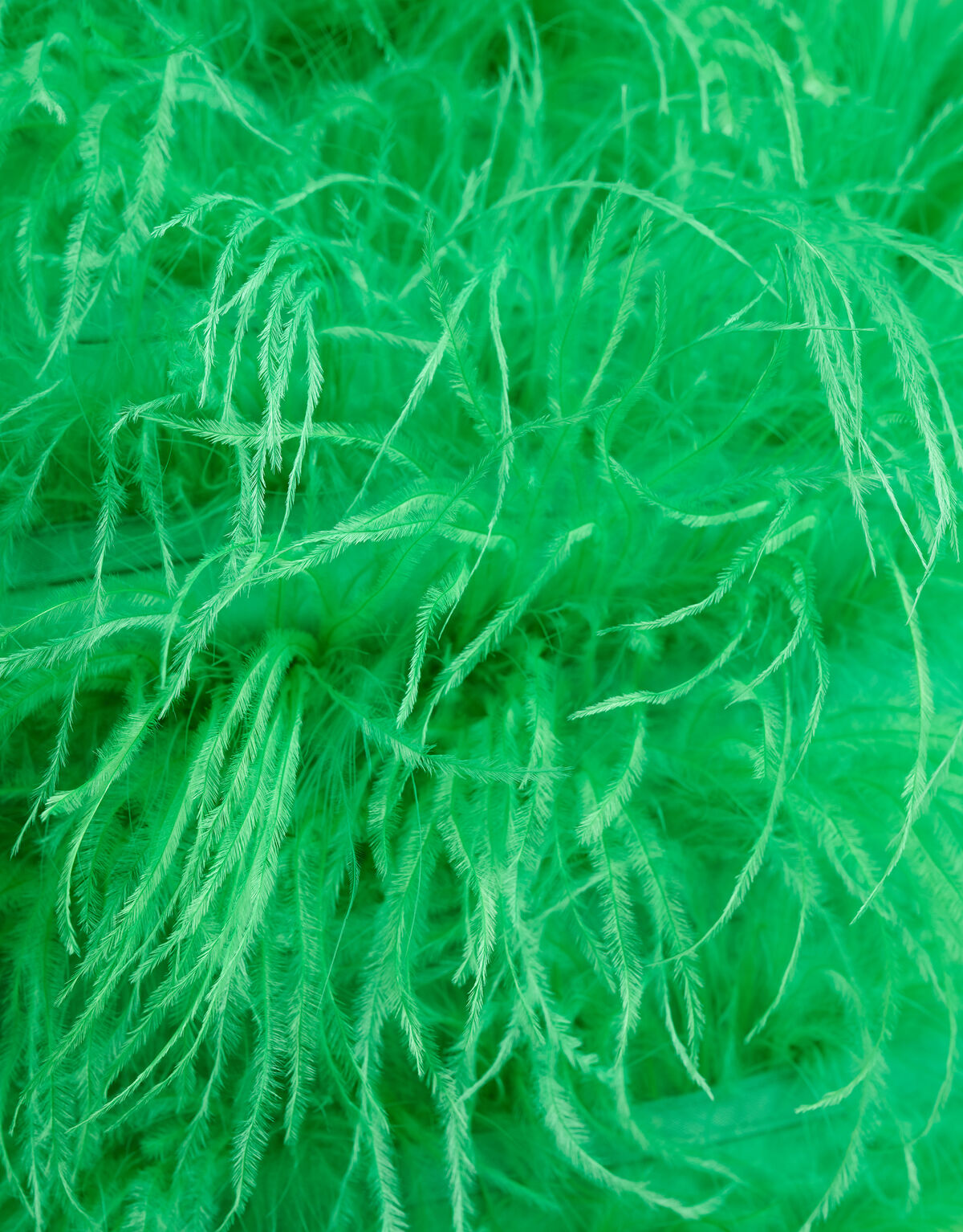 Veren Top Groen SHOEBY WOMEN