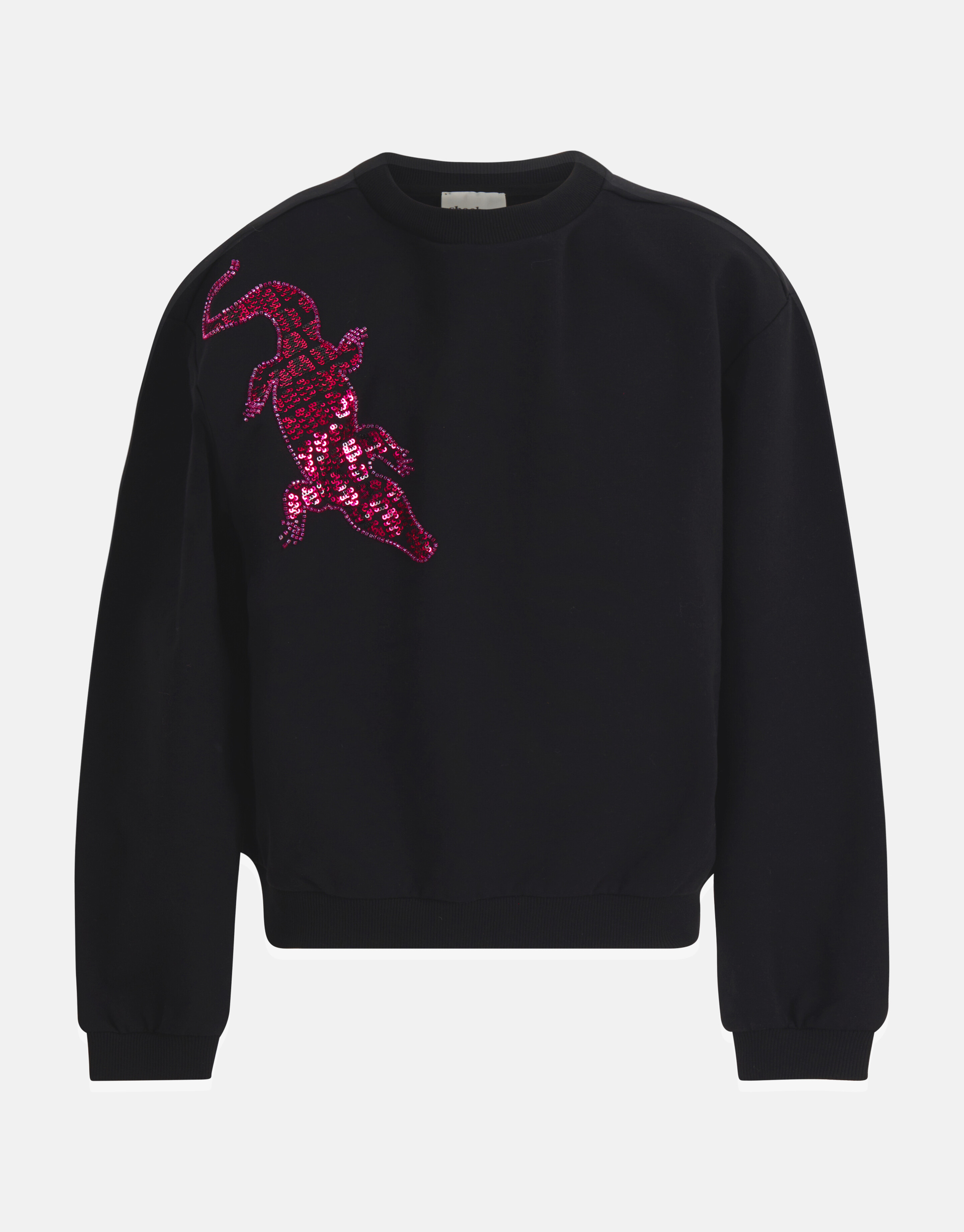 Pailletten Sweater Zwart SHOEBY GIRLS