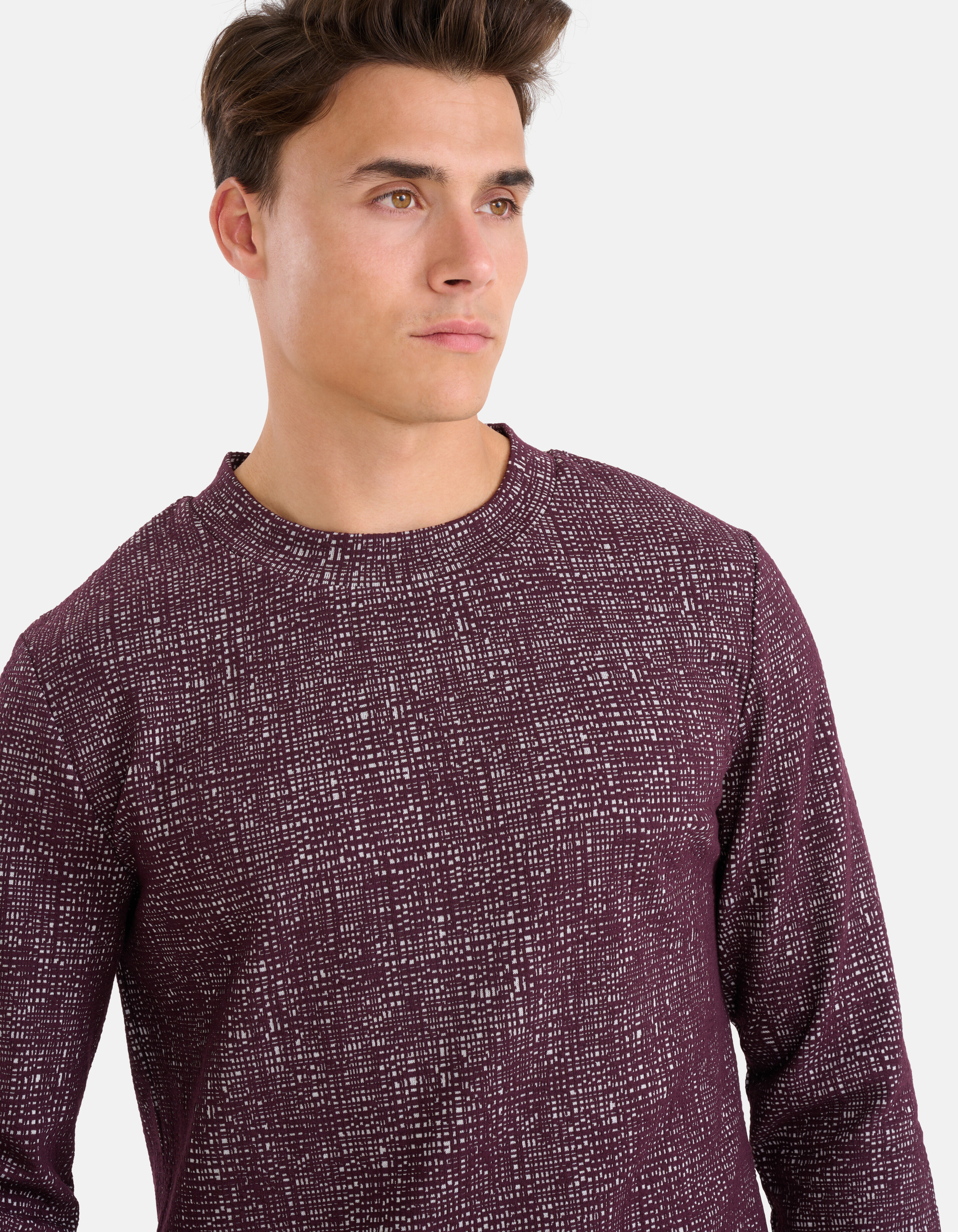 Grafisch T-shirt Bordeaux SHOEBY MEN