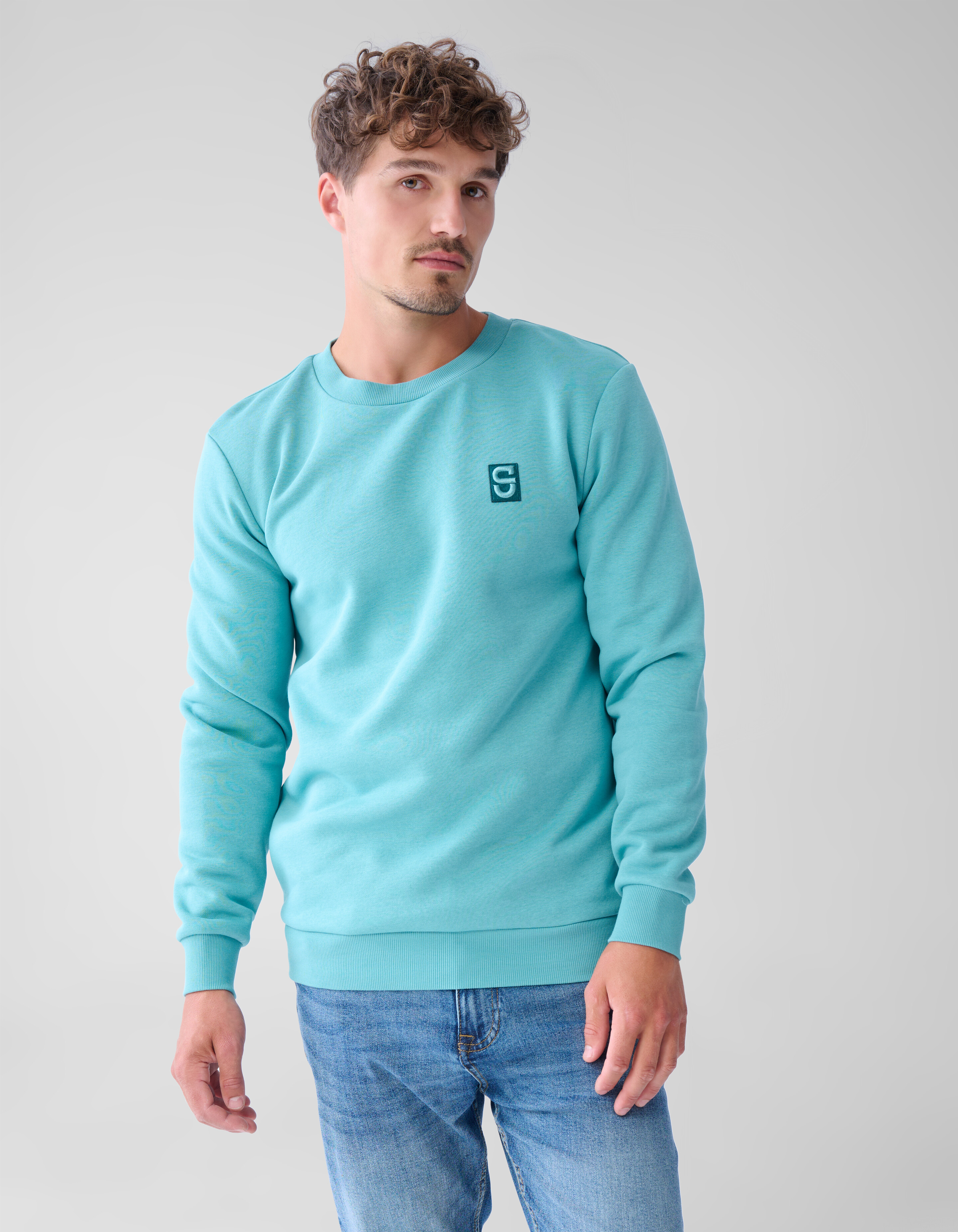 Badge Sweater Lichtgroen SHOEBY MEN