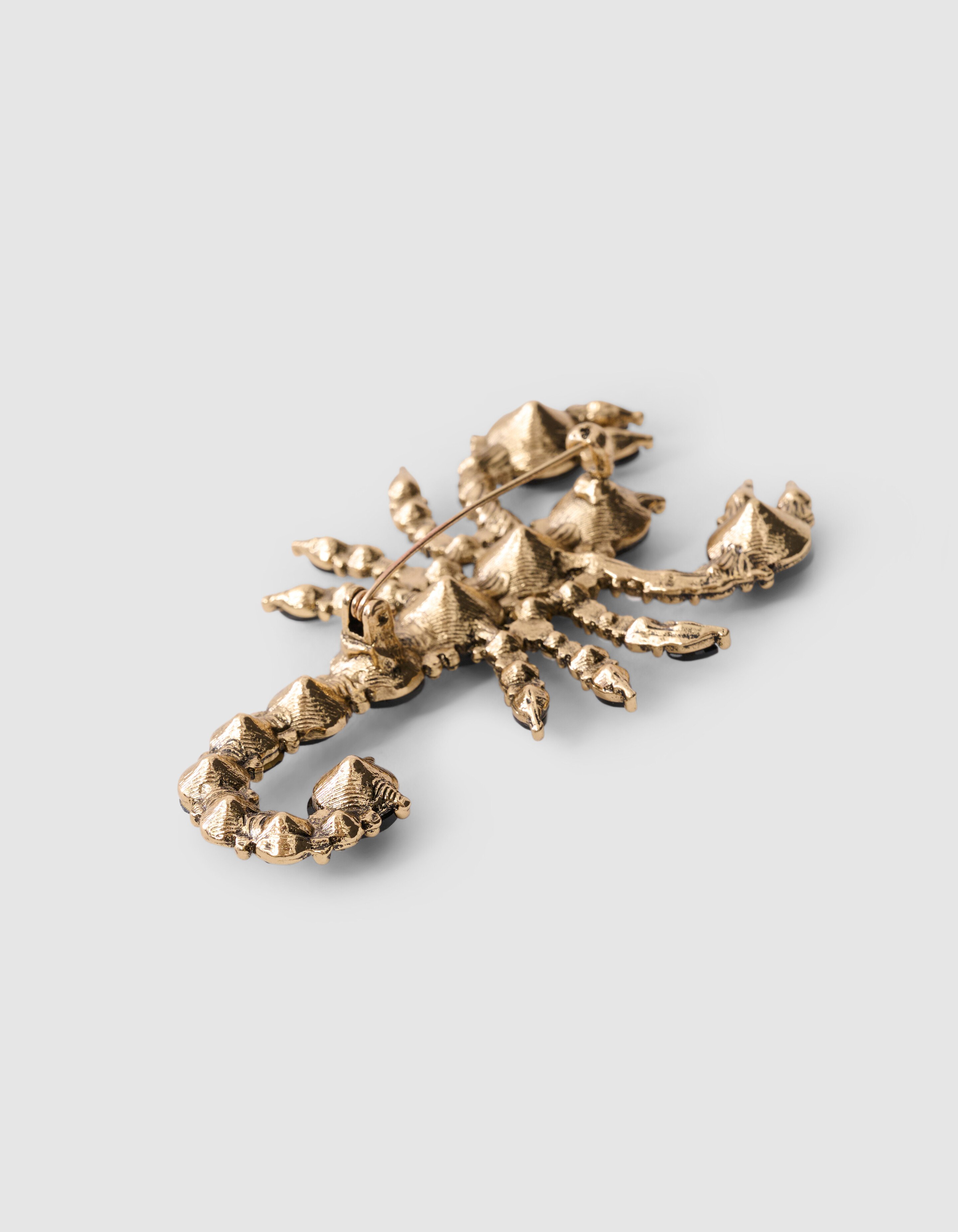 Schorpioen Broche Zwart By Fred SHOEBY ACCESSOIRES