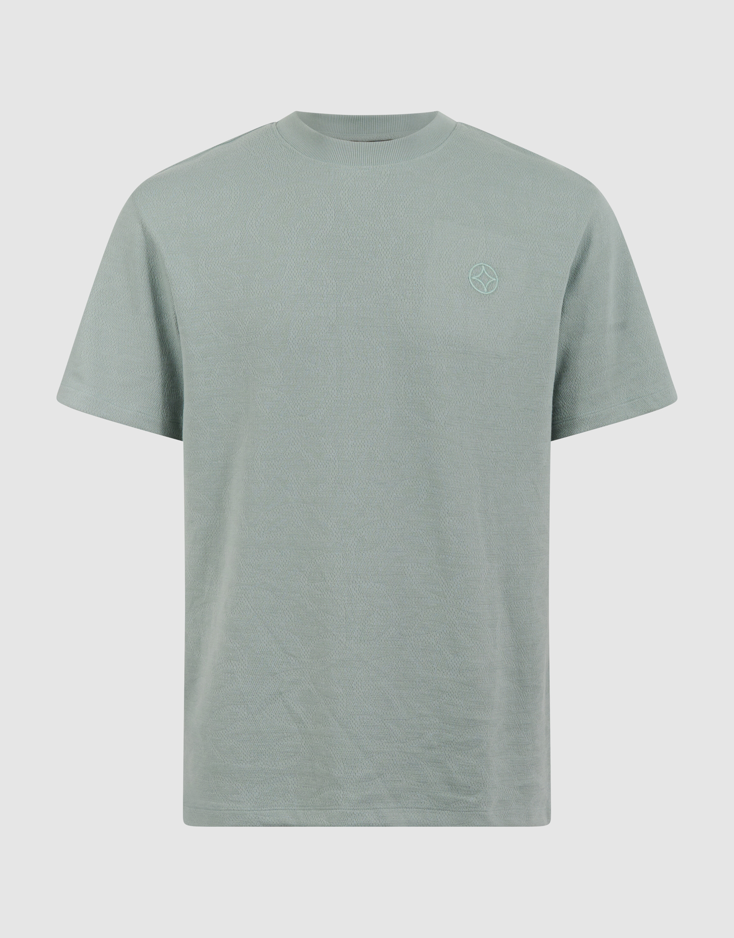 All Over Structuur T-shirt Lichtgroen SHOEBY MEN