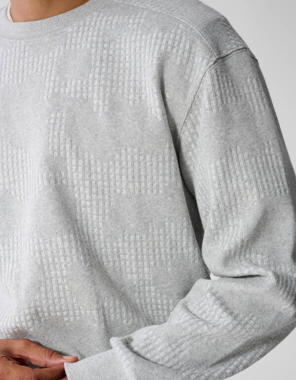 Camo Structure Sweater Lichtgrijs SHOEBY MEN