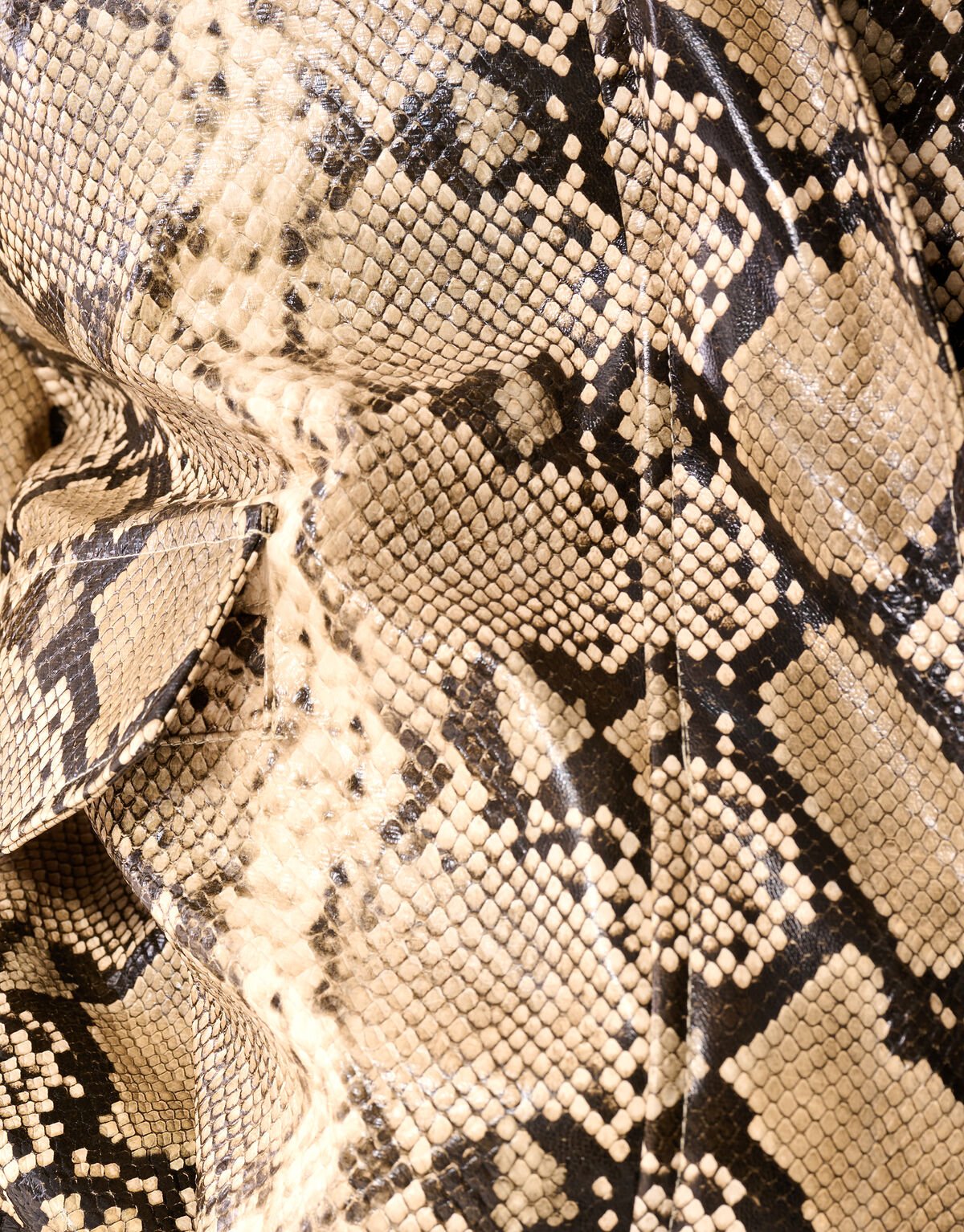 Oversized Snake Jack Lichtbruin SHOEBY WOMEN