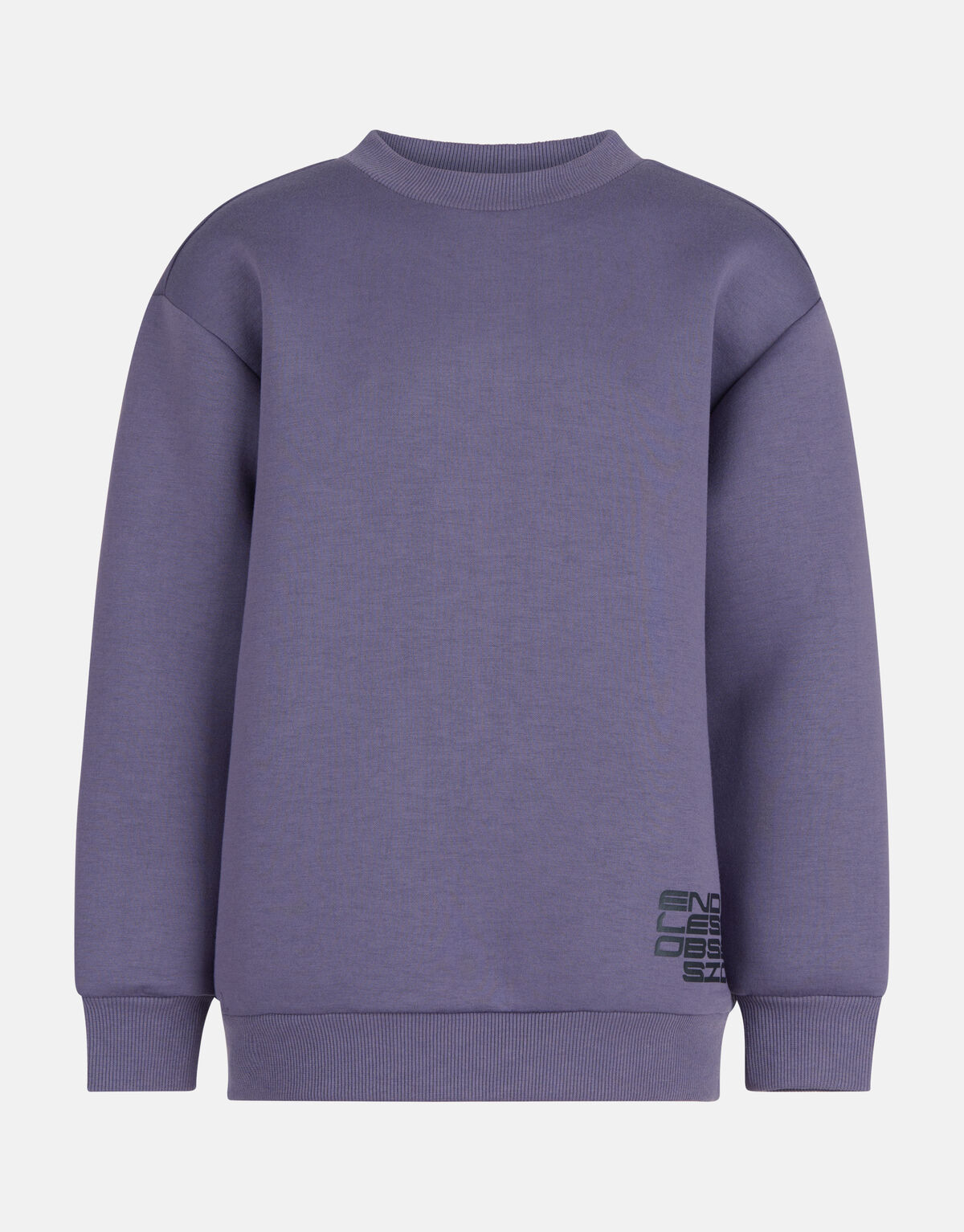 Tekst Print Sweater Donkerpaars SHOEBY BOYS