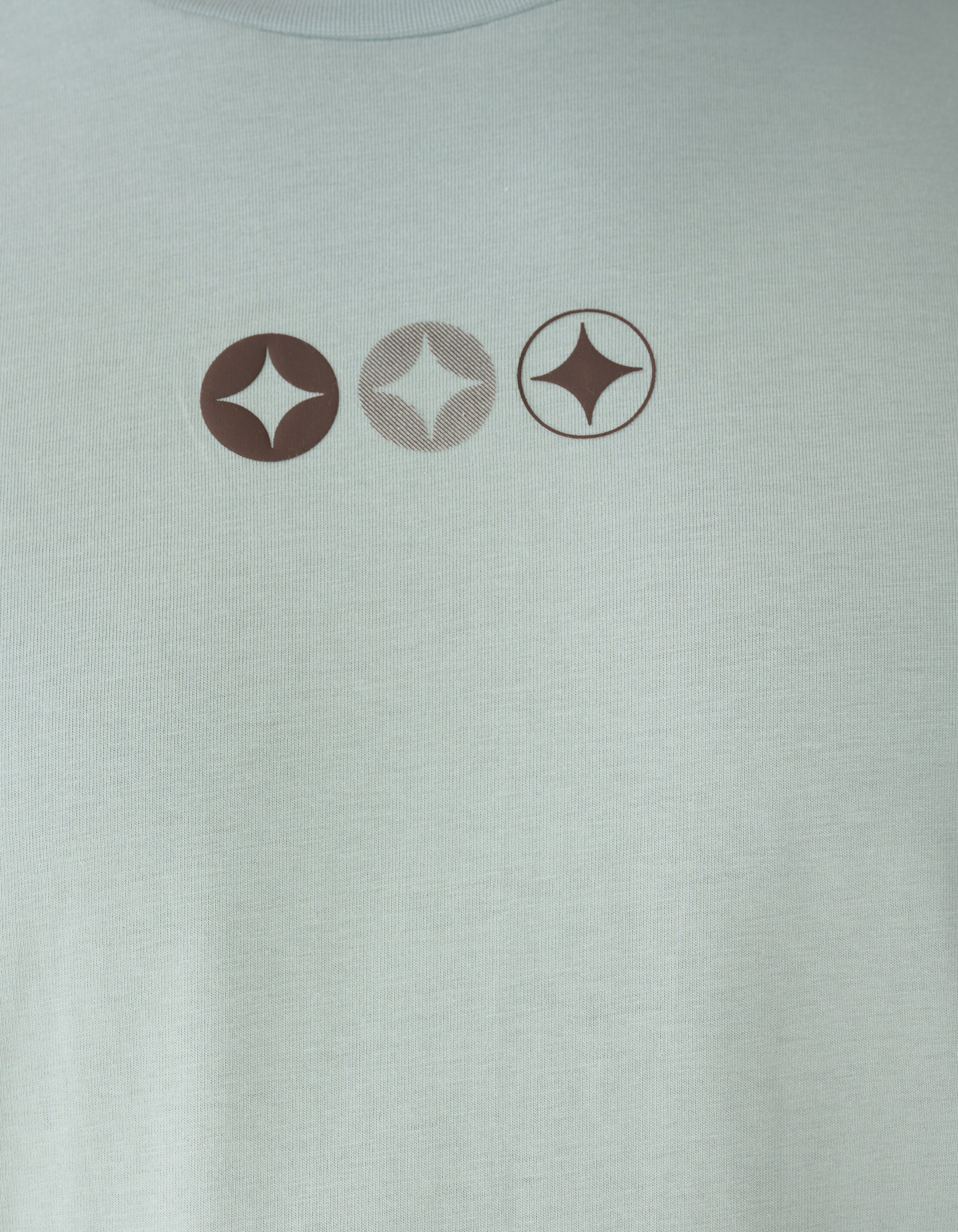 Spark Logo Artwork T-shirt Lichtgroen SHOEBY MEN