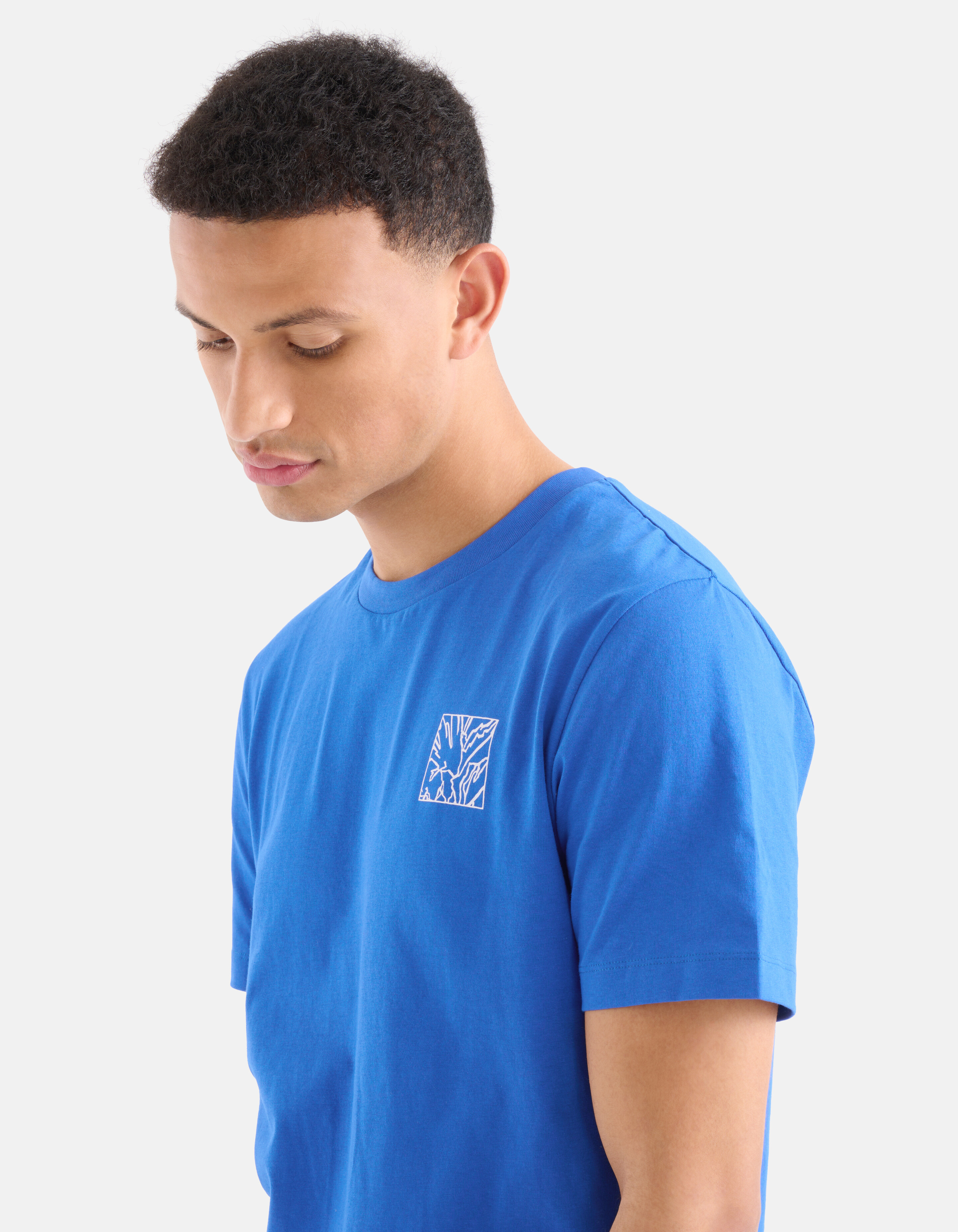 Line T-shirt Blauw SHOEBY MEN