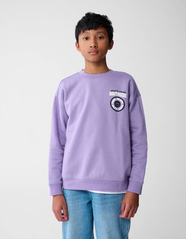 Skate Park Artwork Sweater Paars SHOEBY BOYS
