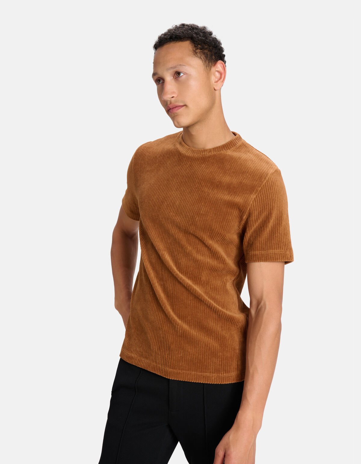 Velvet Rib T-shirt Bruin SHOEBY MEN