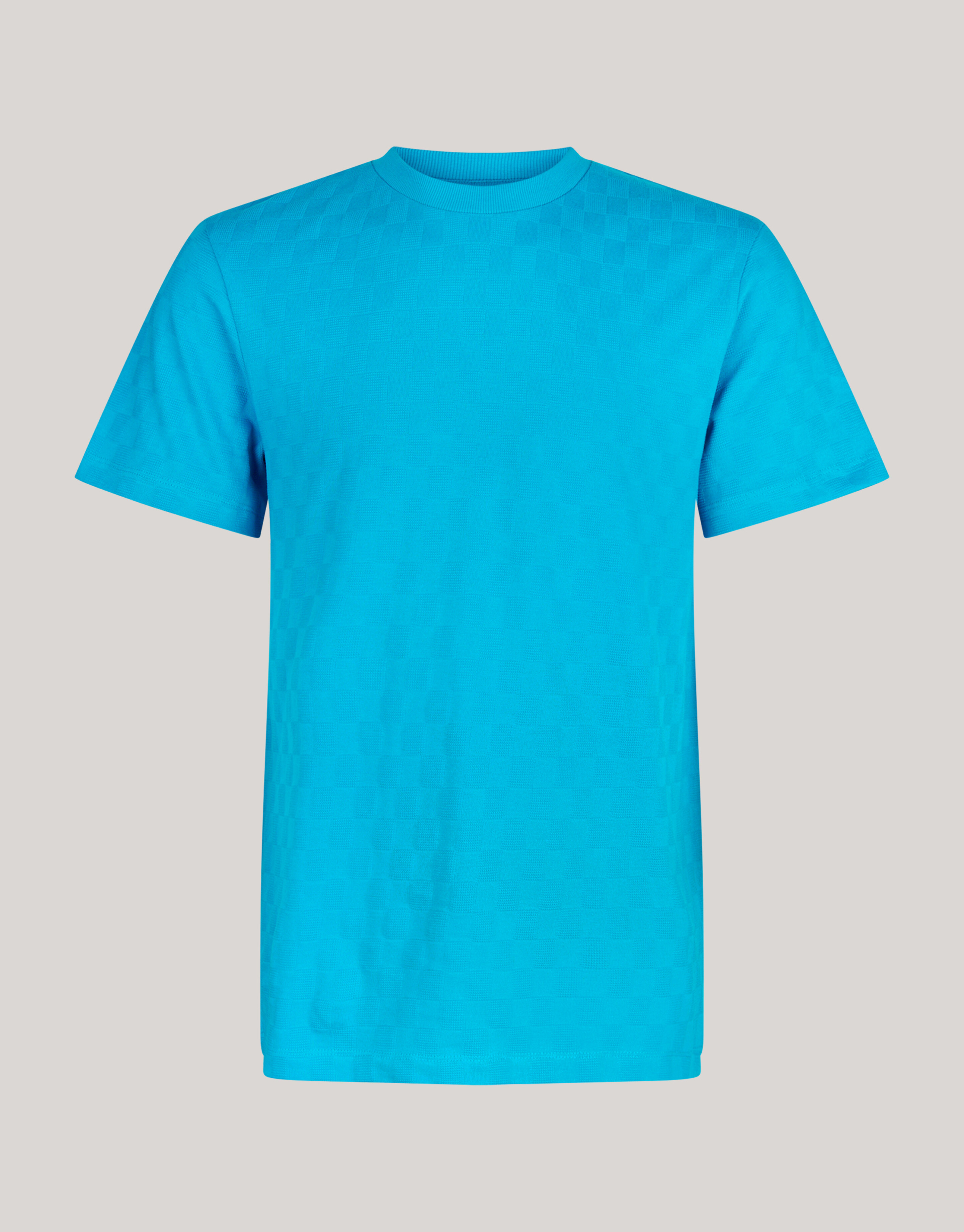 Block Structuur T-shirt Blauw SHOEBY MEN