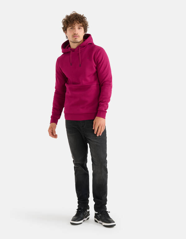 Grafische Hoodie Bordeaux SHOEBY MEN