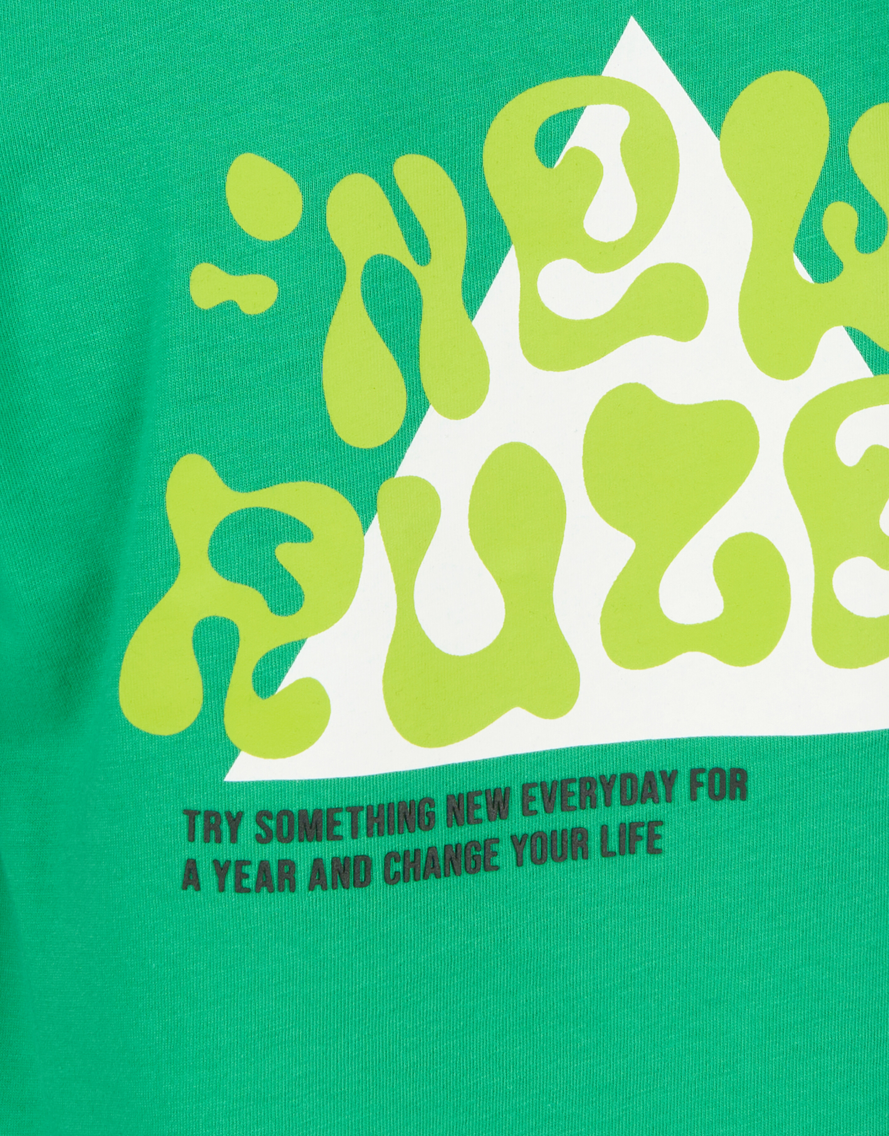 Artwork T-shirt Groen SHOEBY BOYS