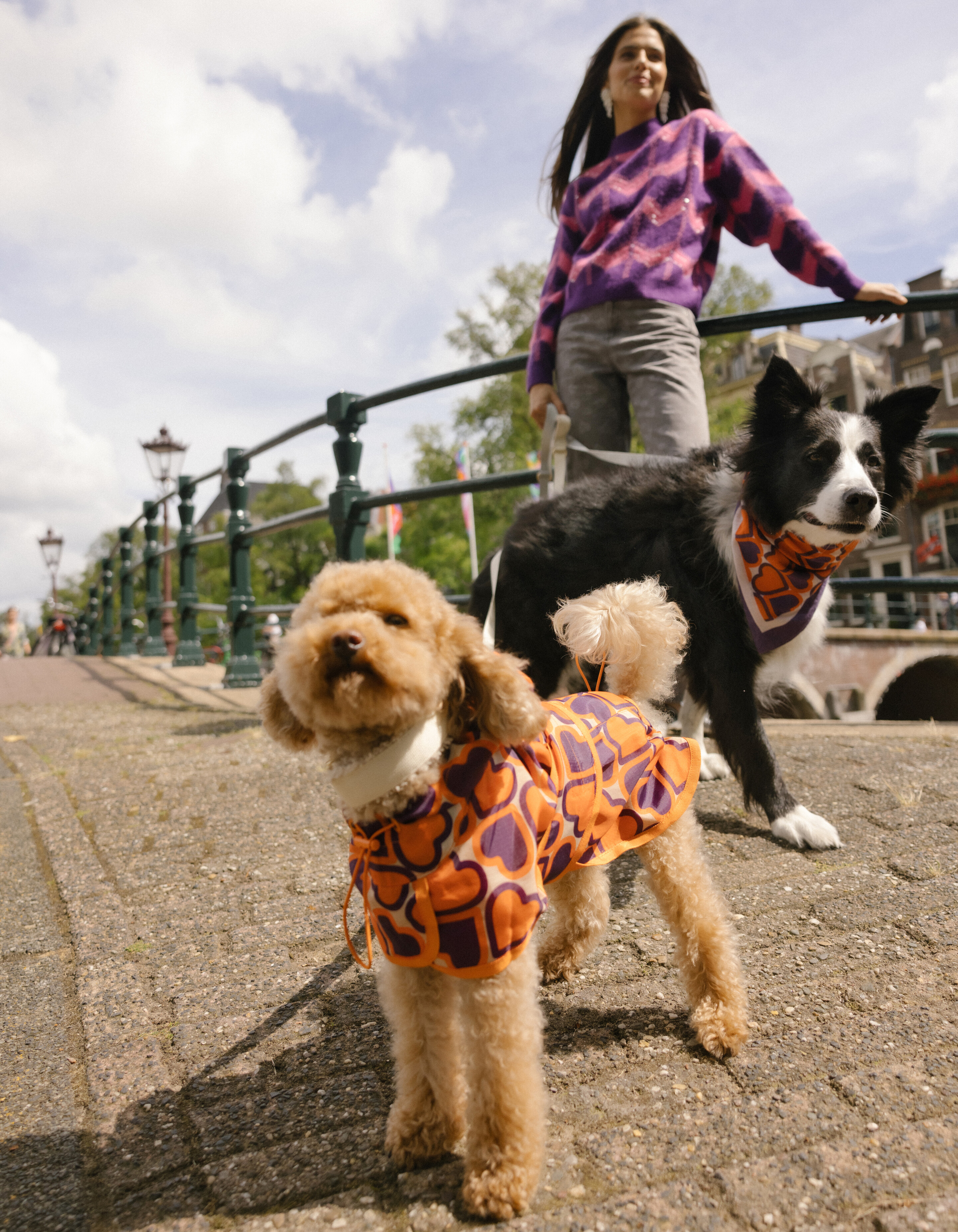 Printed Honden Regenjas Oranje SHOEBY ACCESSOIRES