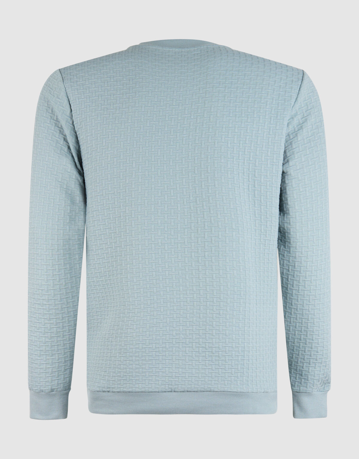 Structuur Sweater Lichtgroen SHOEBY MEN