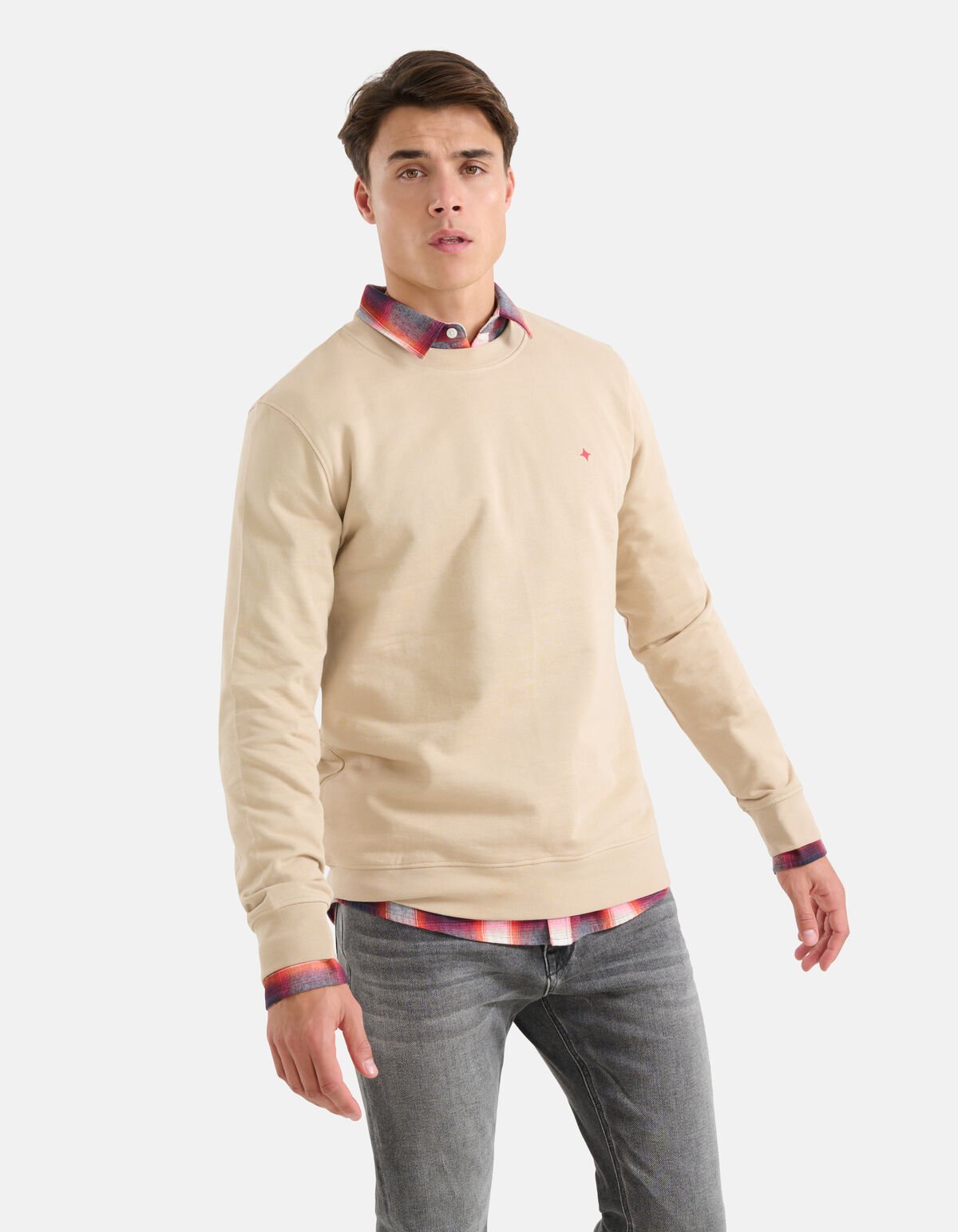 Sparkle Sweater Beige SHOEBY MEN
