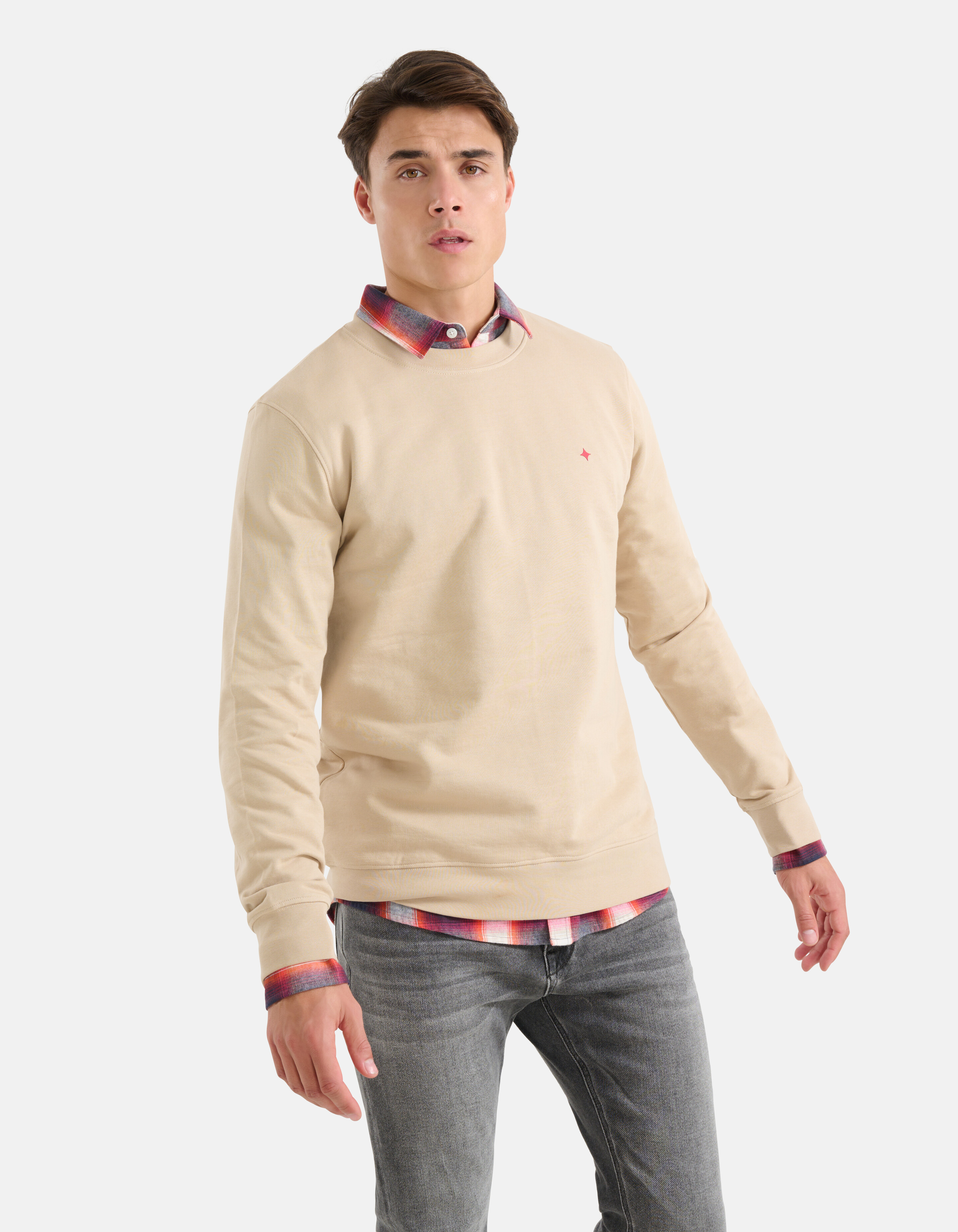 Sparkle Sweater Beige SHOEBY MEN