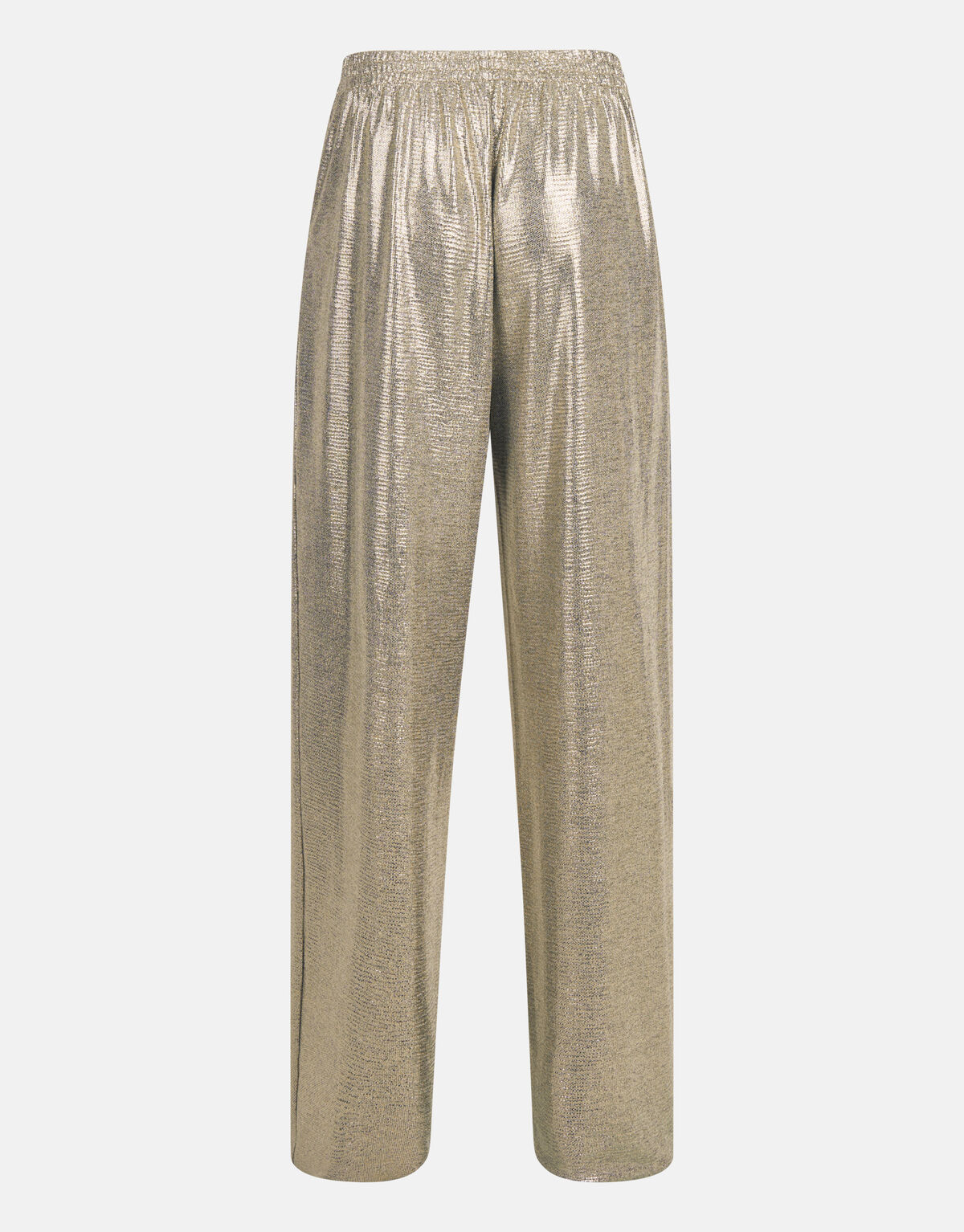 Coated Broek Zilver SHOEBY WOMEN