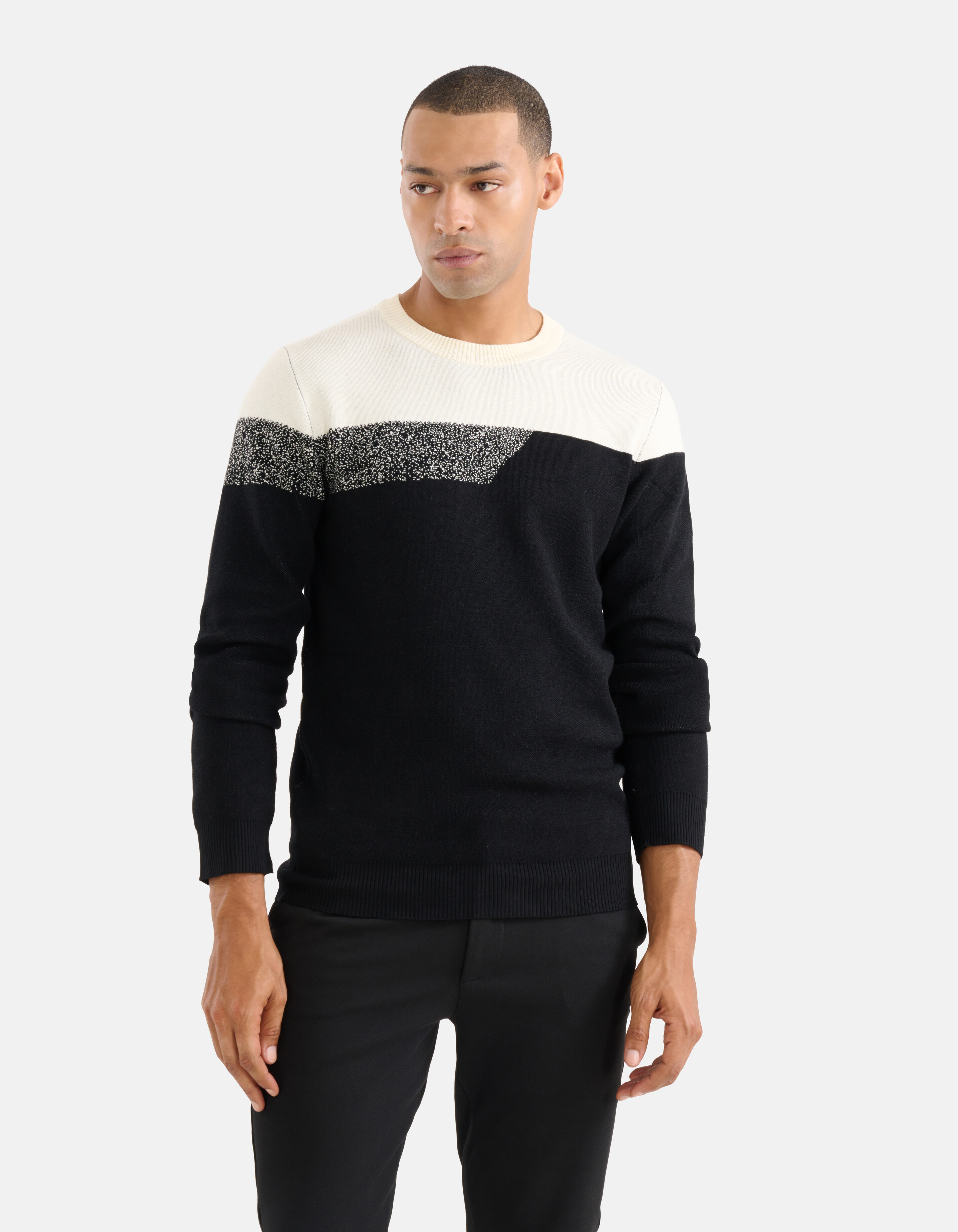Colorblock Trui Zwart SHOEBY MEN