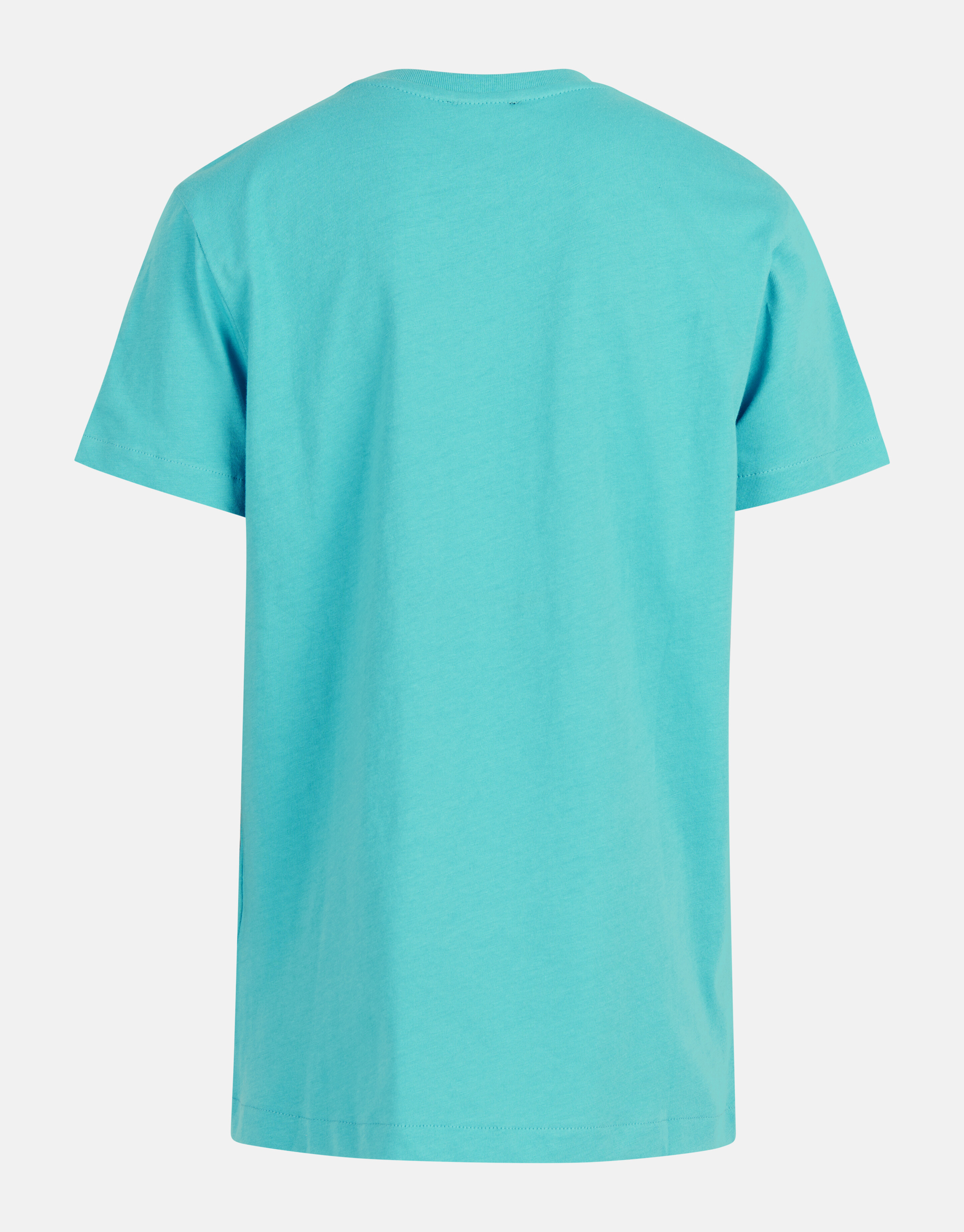 Print T-shirt Blauw SHOEBY BOYS