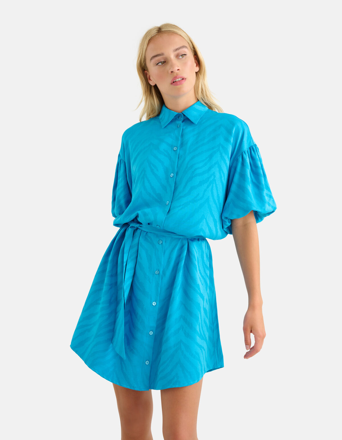 Jacquard Zebra Print Jurk Blauw Shoeby