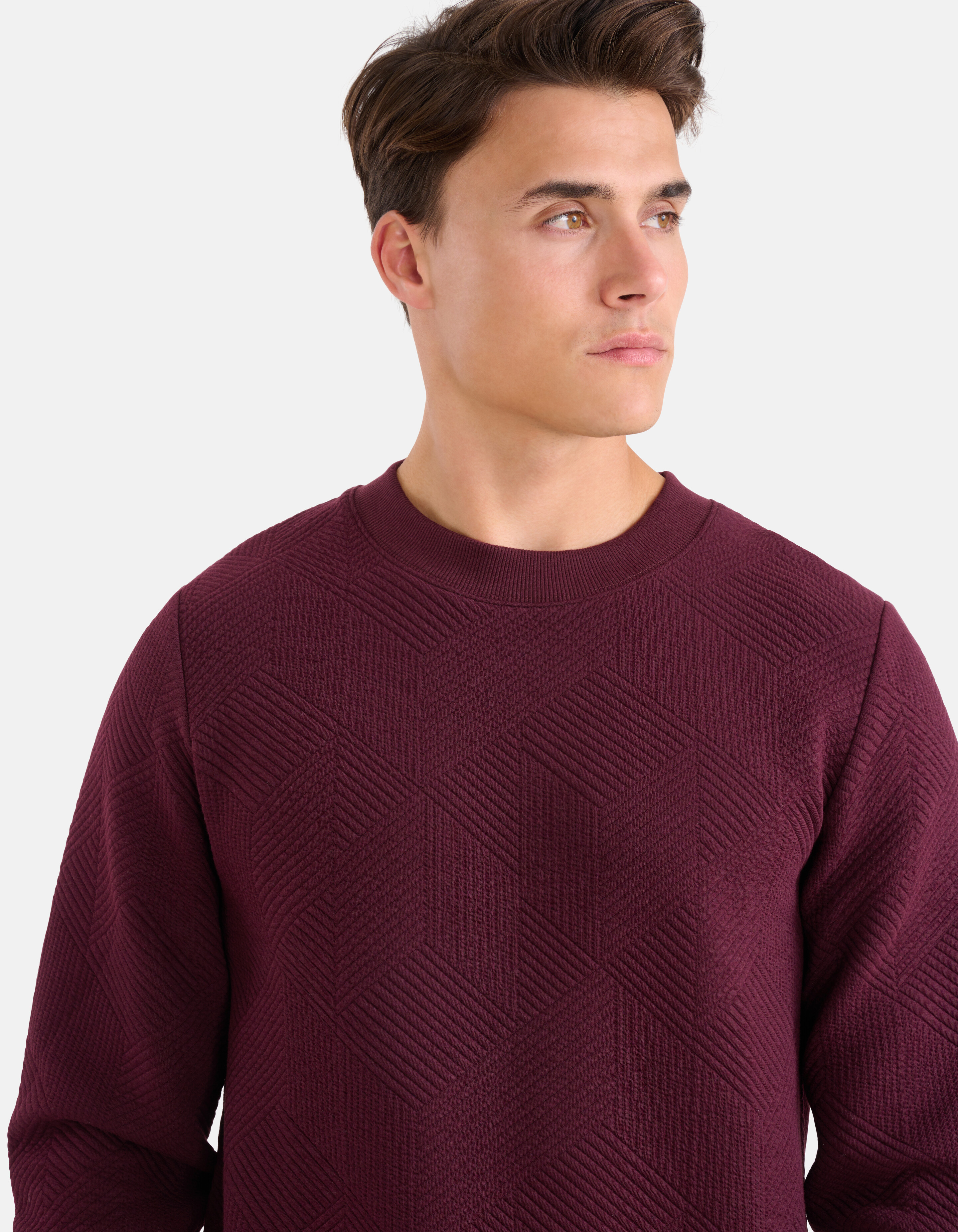 Geometrische Sweater Bordeaux SHOEBY MEN