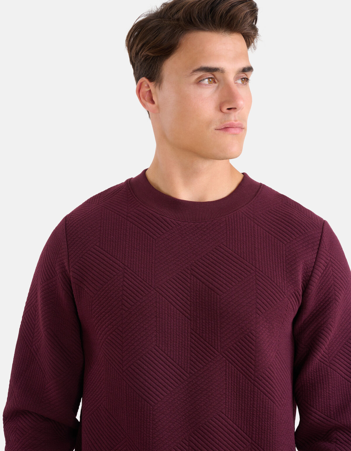 Geometrische Sweater Bordeaux SHOEBY MEN