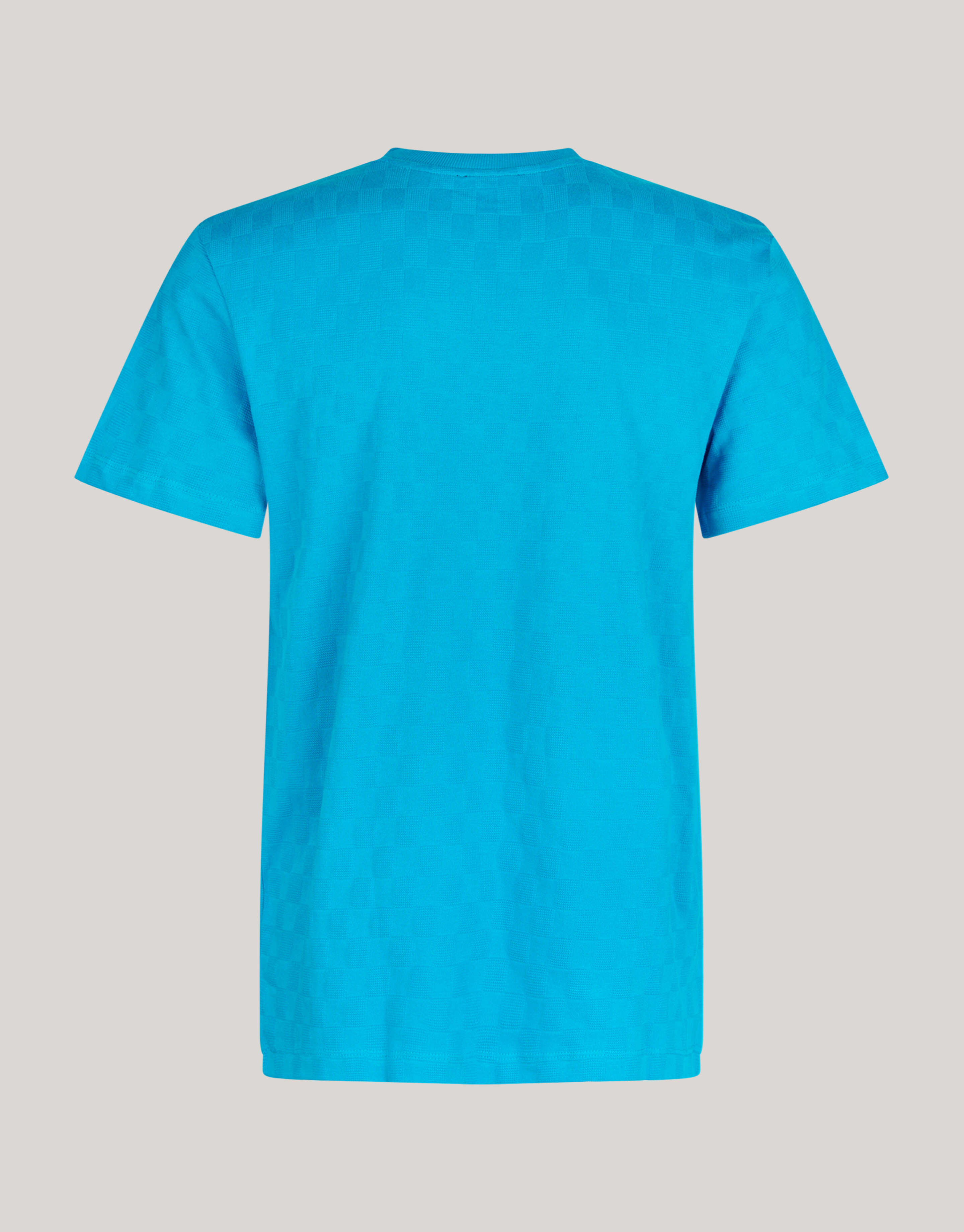 Block Structuur T-shirt Blauw SHOEBY MEN