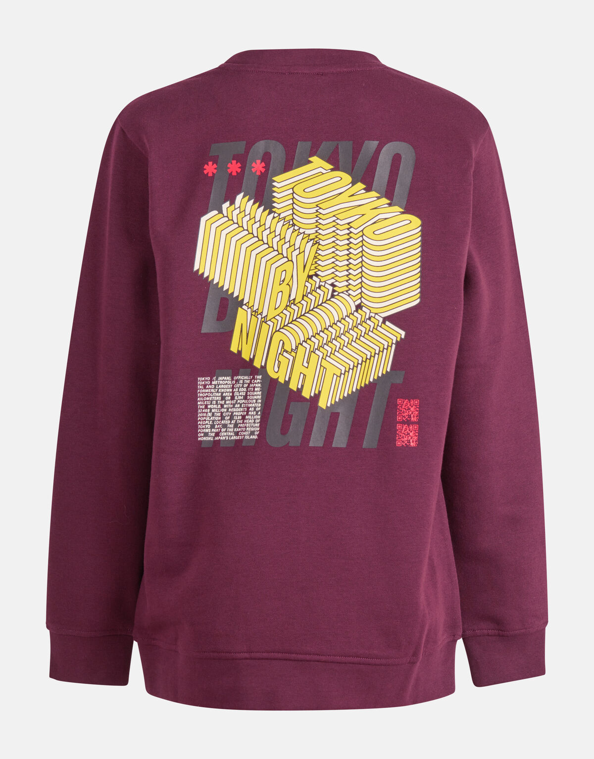 Artwork Sweater Bordeaux SHOEBY BOYS