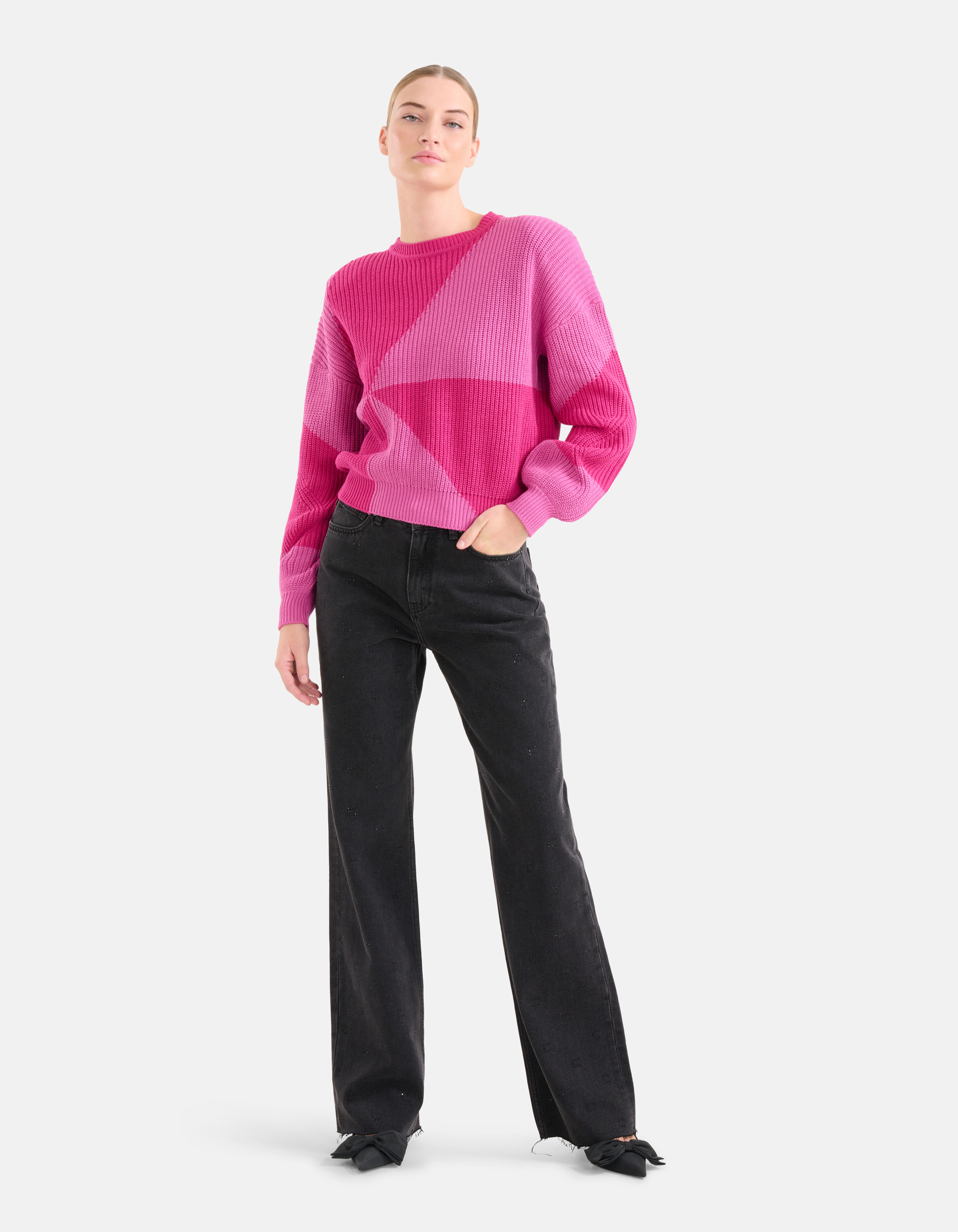 Colorblock Trui Roze SHOEBY WOMEN