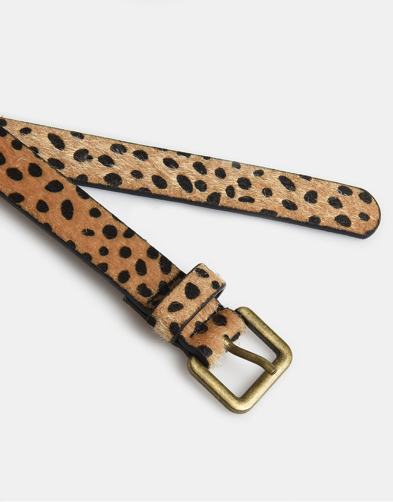 Hairy Dot Riem