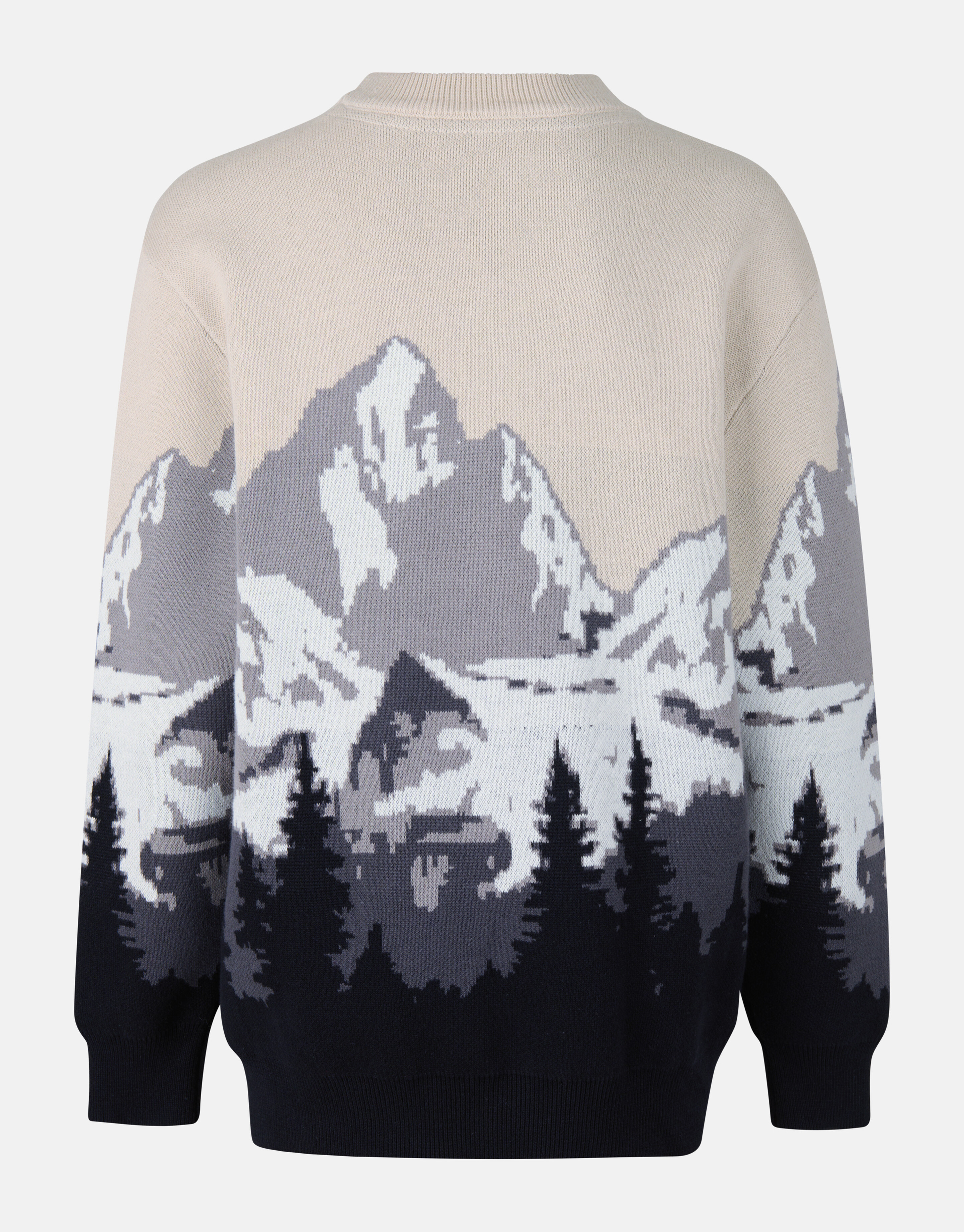 Landschap Trui Grijs SHOEBY BOYS