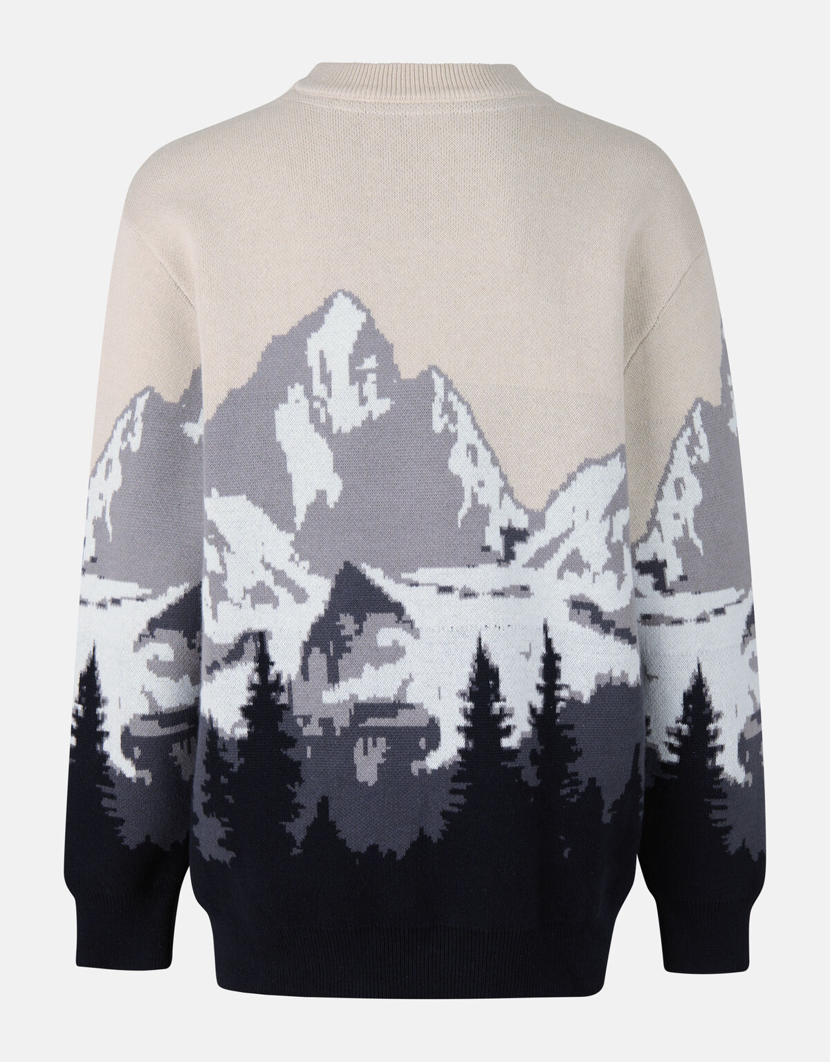 Landschap Trui Grijs SHOEBY BOYS