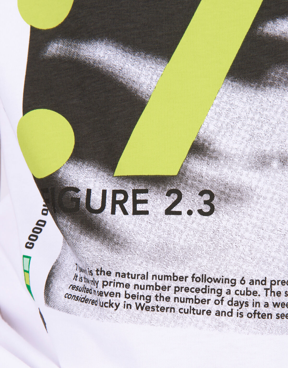 Printed T-shirt Wit SHOEBY BOYS