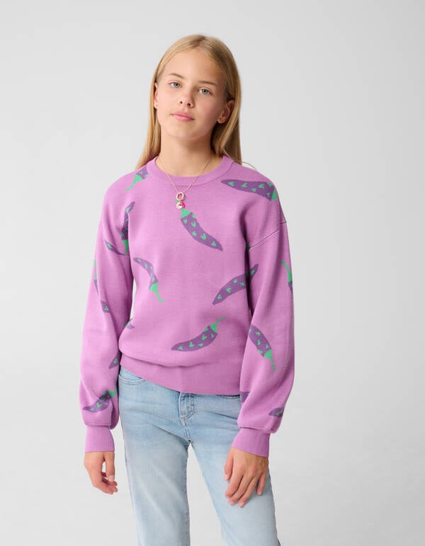 Peper Artwork Trui Roze SHOEBY GIRLS